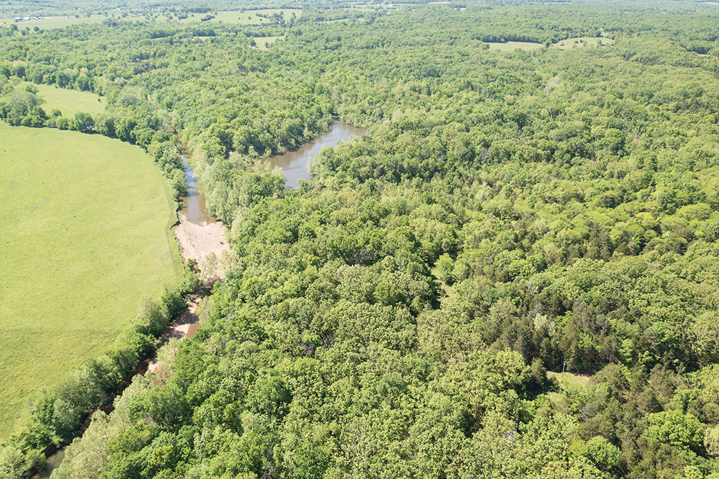 Lot 6 Meyongo Trail Property Photo 12