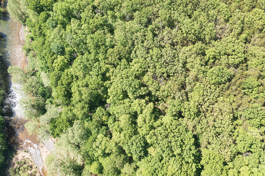 Lot 6 Meyongo Trail Property Photo 13