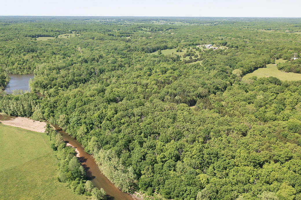 Lot 6 Meyongo Trail Property Photo 15