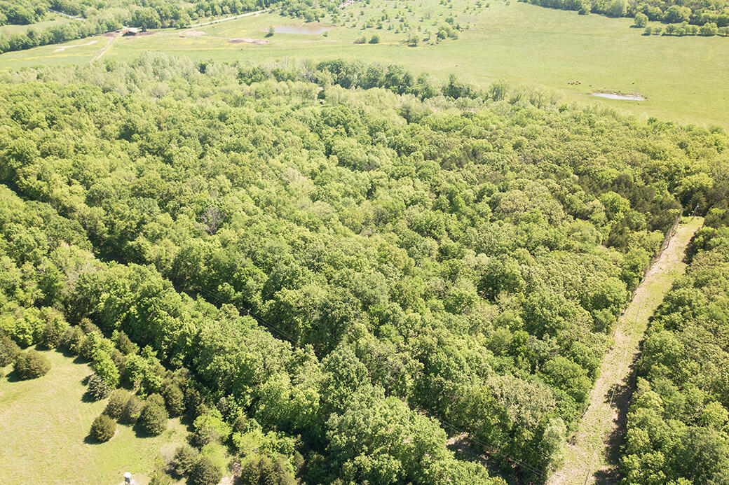 Lot 6 Meyongo Trail Property Photo 18