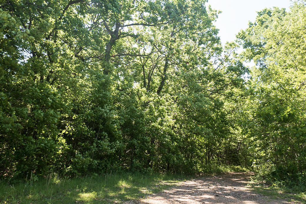 Lot 6 Meyongo Trail Property Photo 20