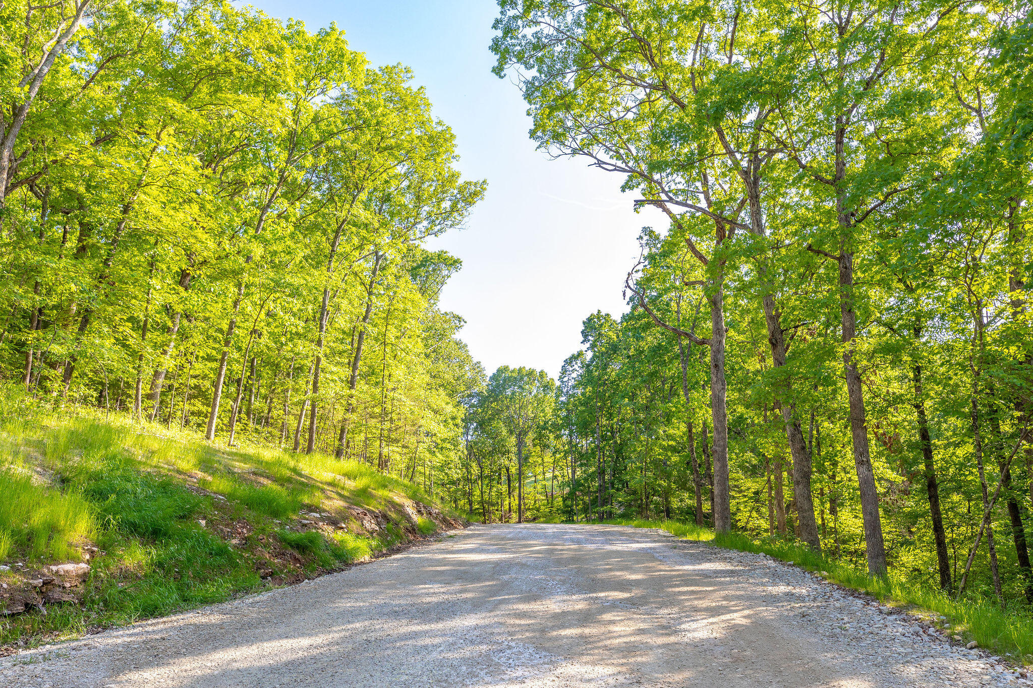 141 Backwoods Loop Property Photo 6