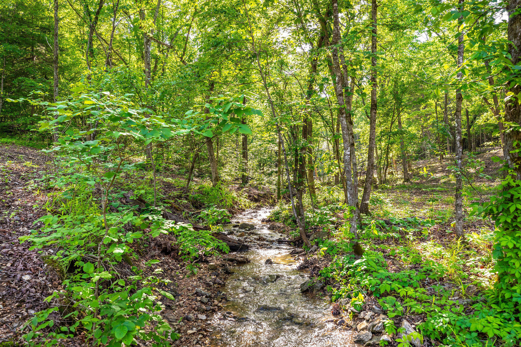 141 Backwoods Loop Property Photo 15