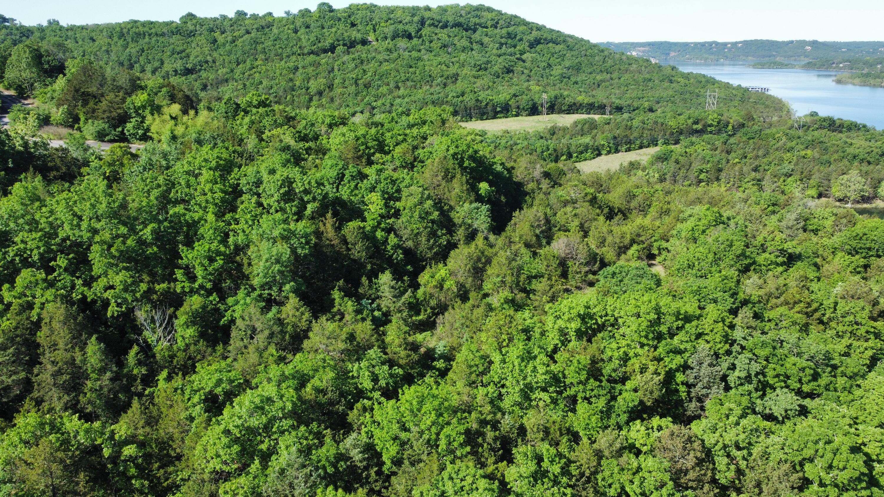 000 Lake Cove Court Property Photo 2