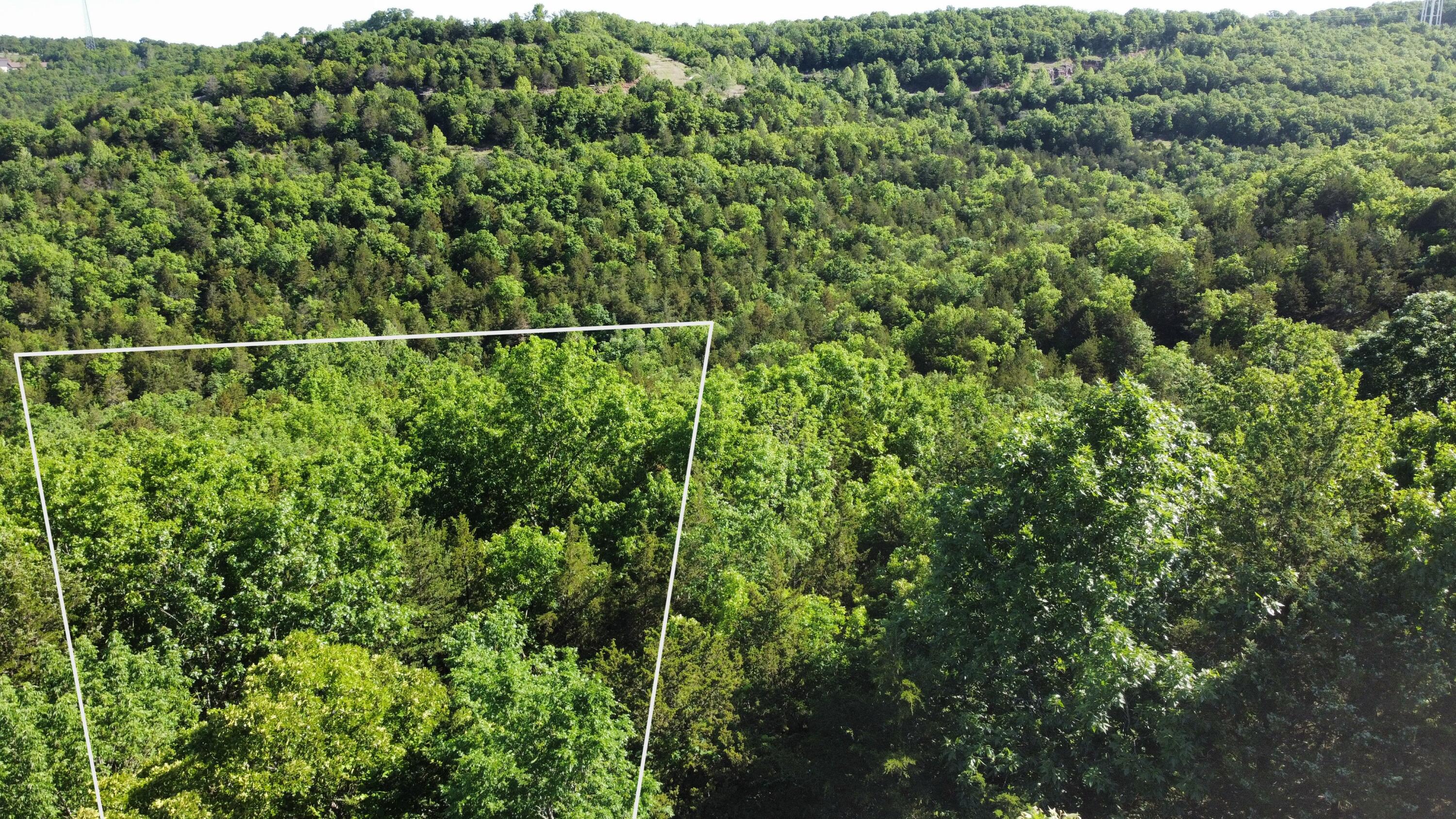 000 Lake Cove Court Property Photo 4