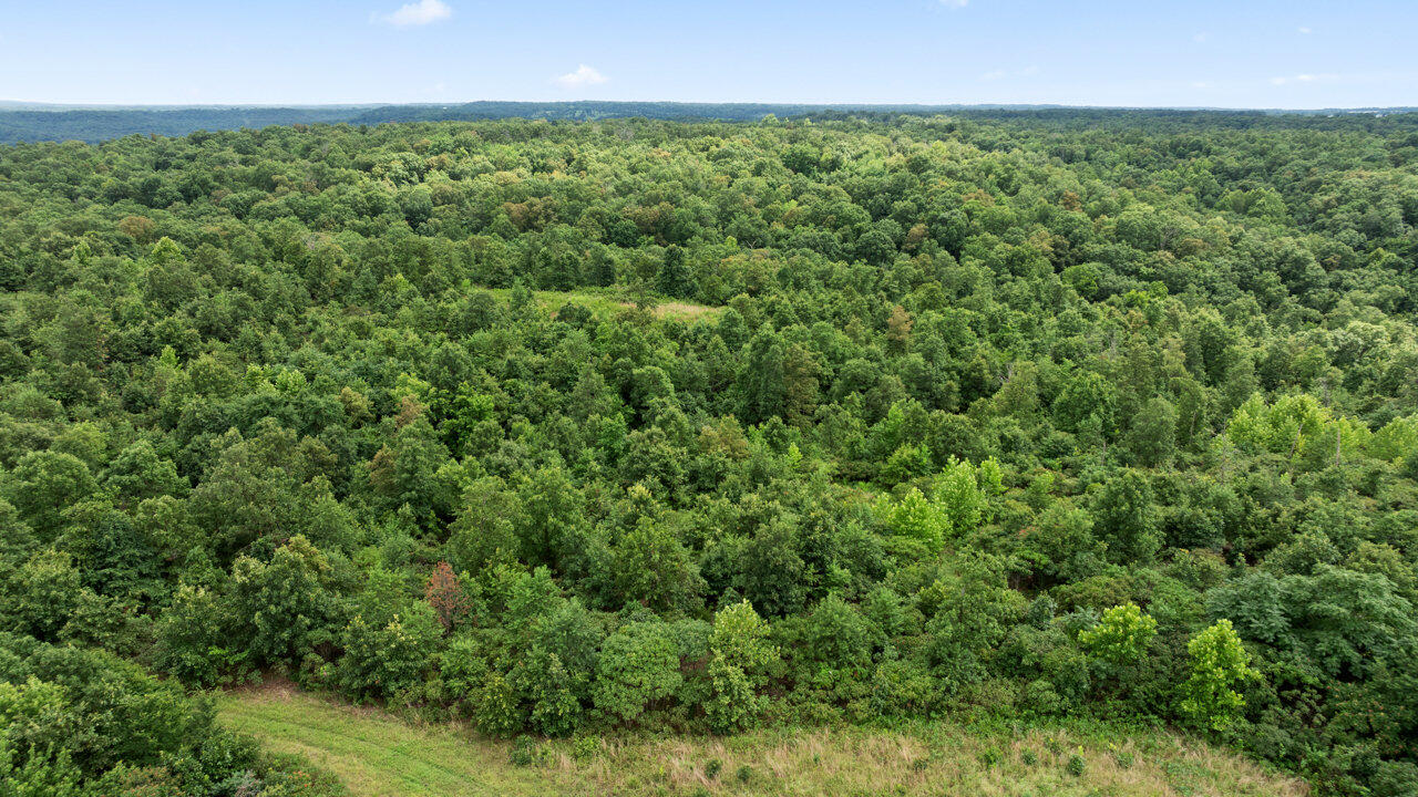 22.76 Acre Styles Road Property Photo 1