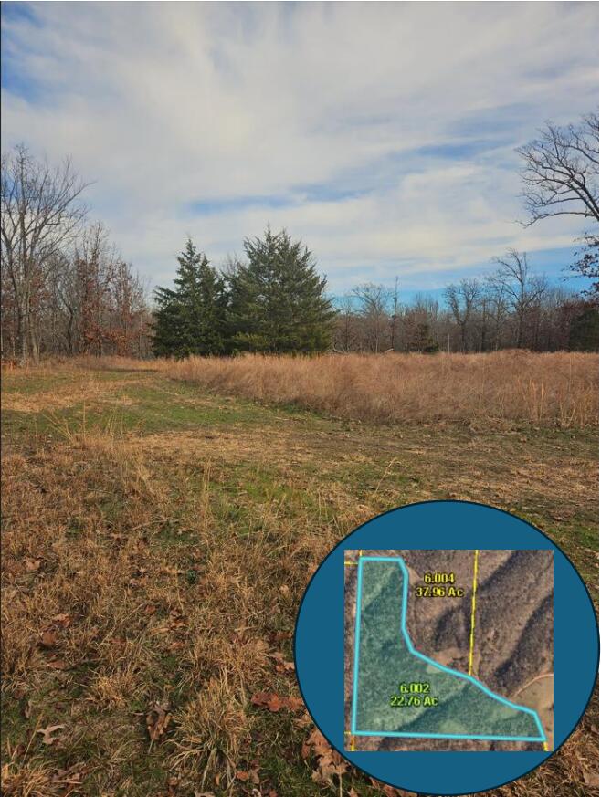 22.76 Acre Styles Road Property Photo 5