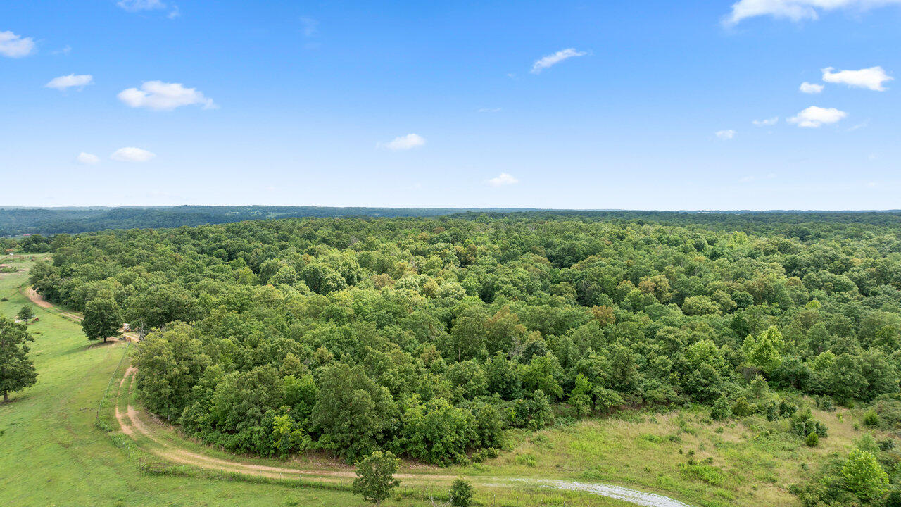 22.76 Acre Styles Road Property Photo 6
