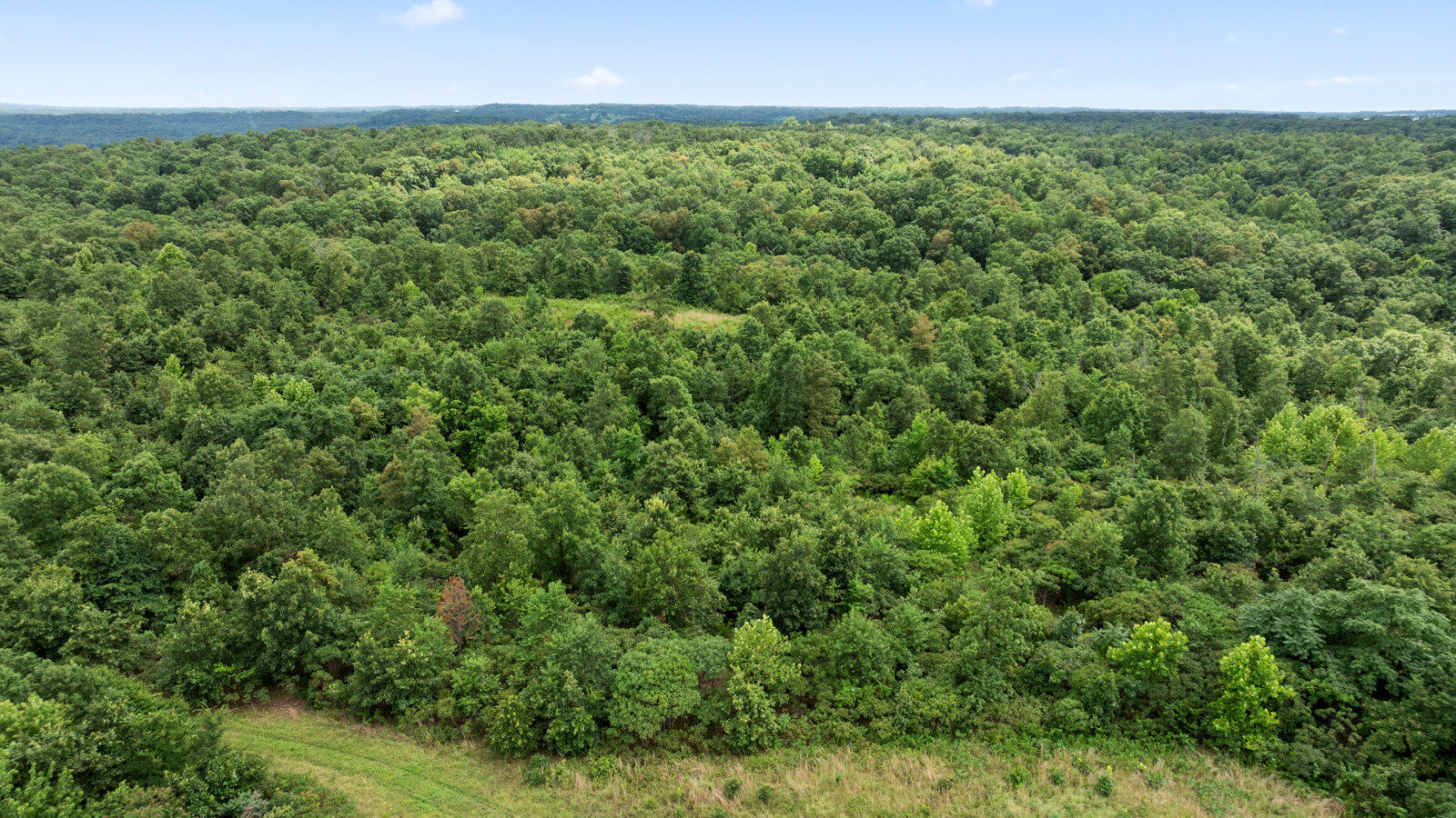 22.76 Acre Styles Road Property Photo 22