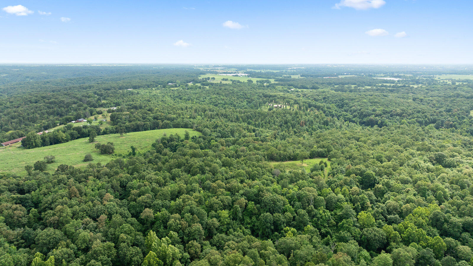 22.76 Acre Styles Road Property Photo 29