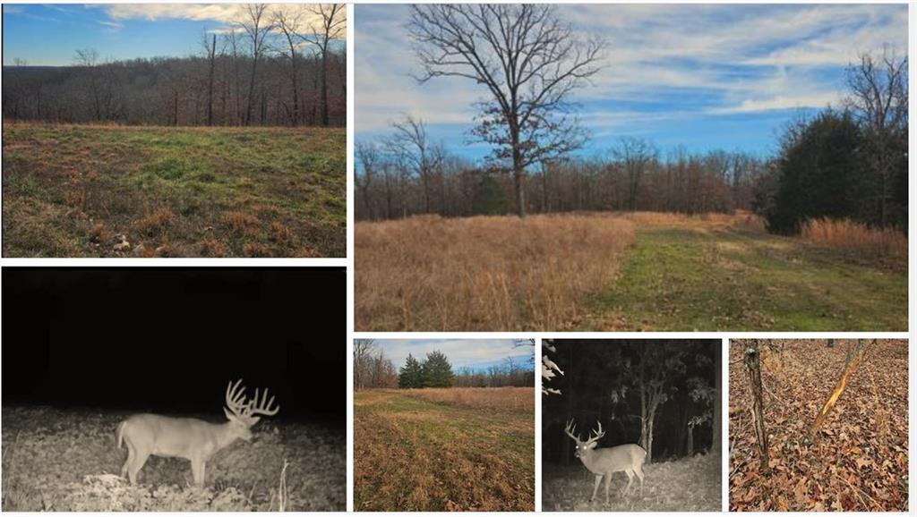 22.76 Acre Styles Road Property Photo 43