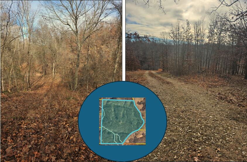 79.30 Acre Styles Road Property Photo 6