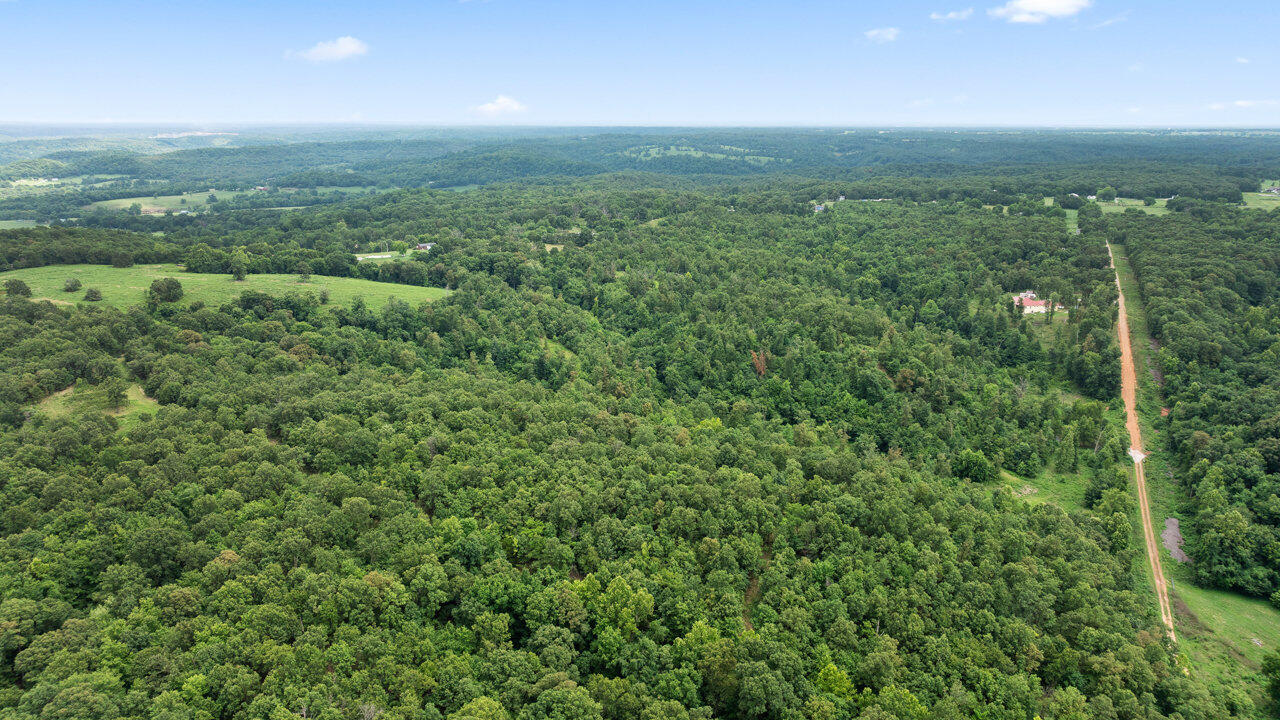 26.24 Acre Styles Road Property Photo 1