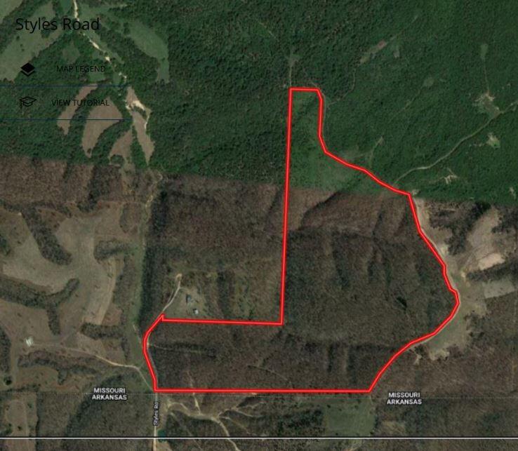 26.24 Acre Styles Road Property Photo 4