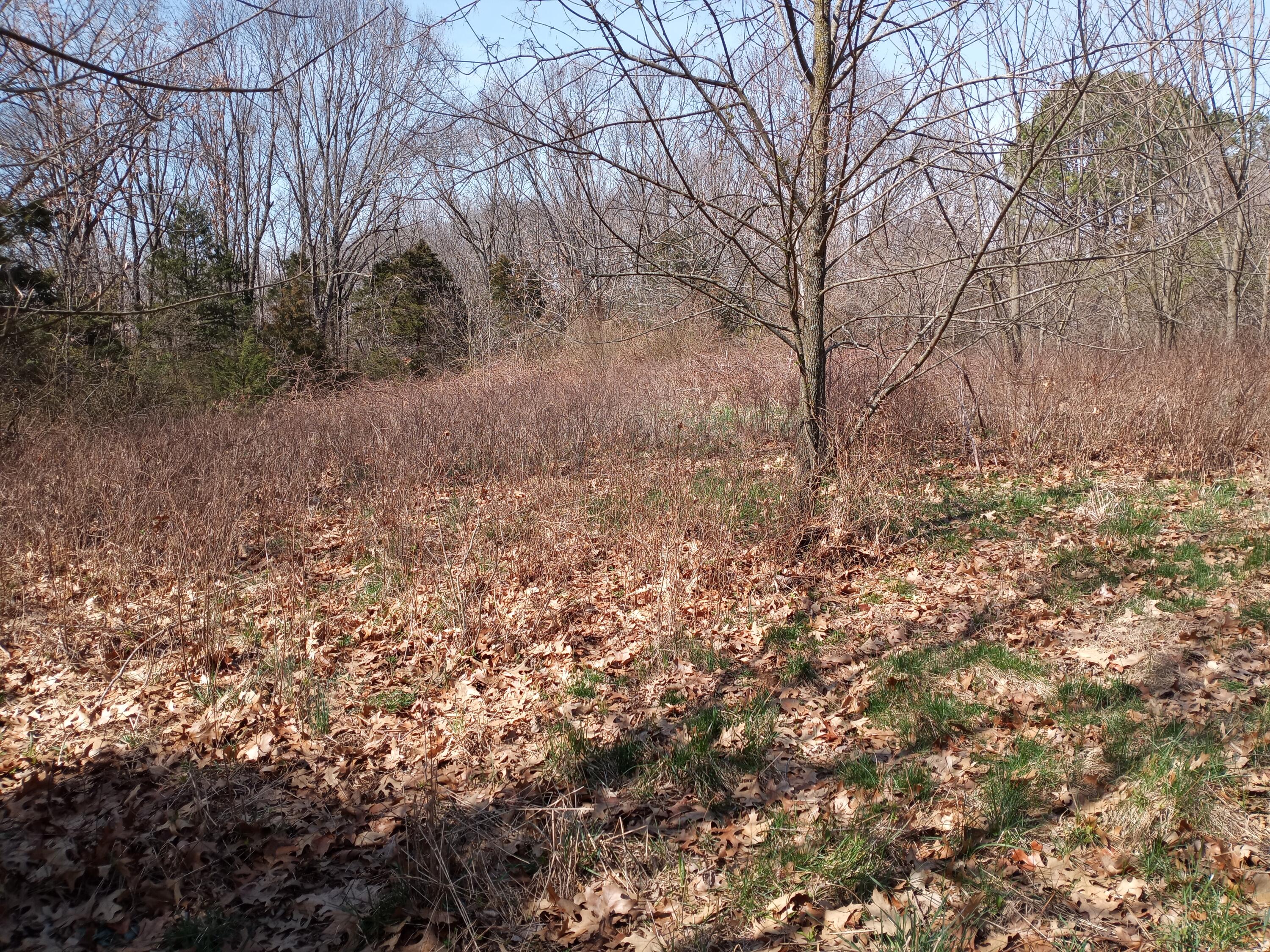 7509 Little Street Property Photo