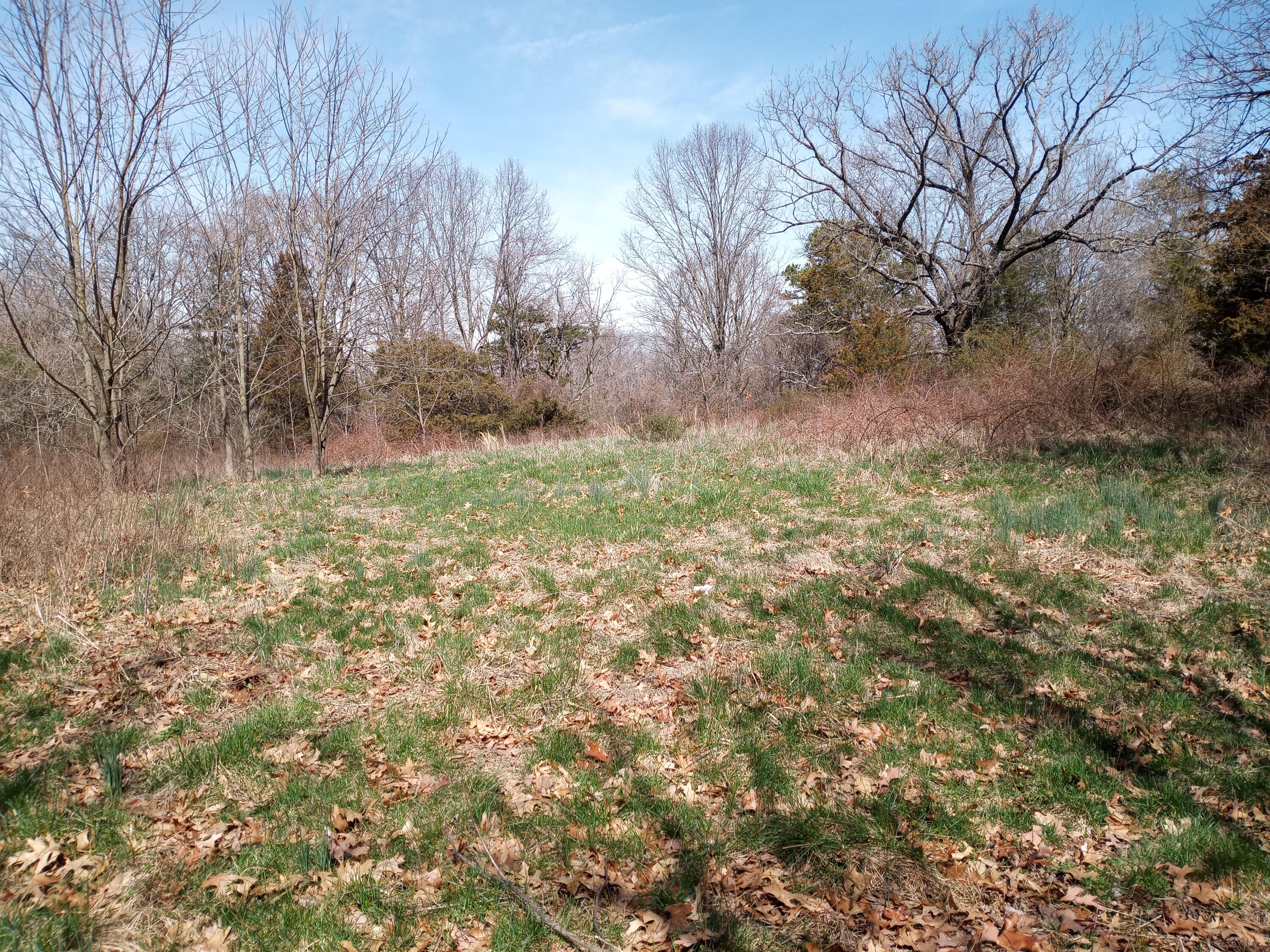 7509 Little Street Property Photo 2