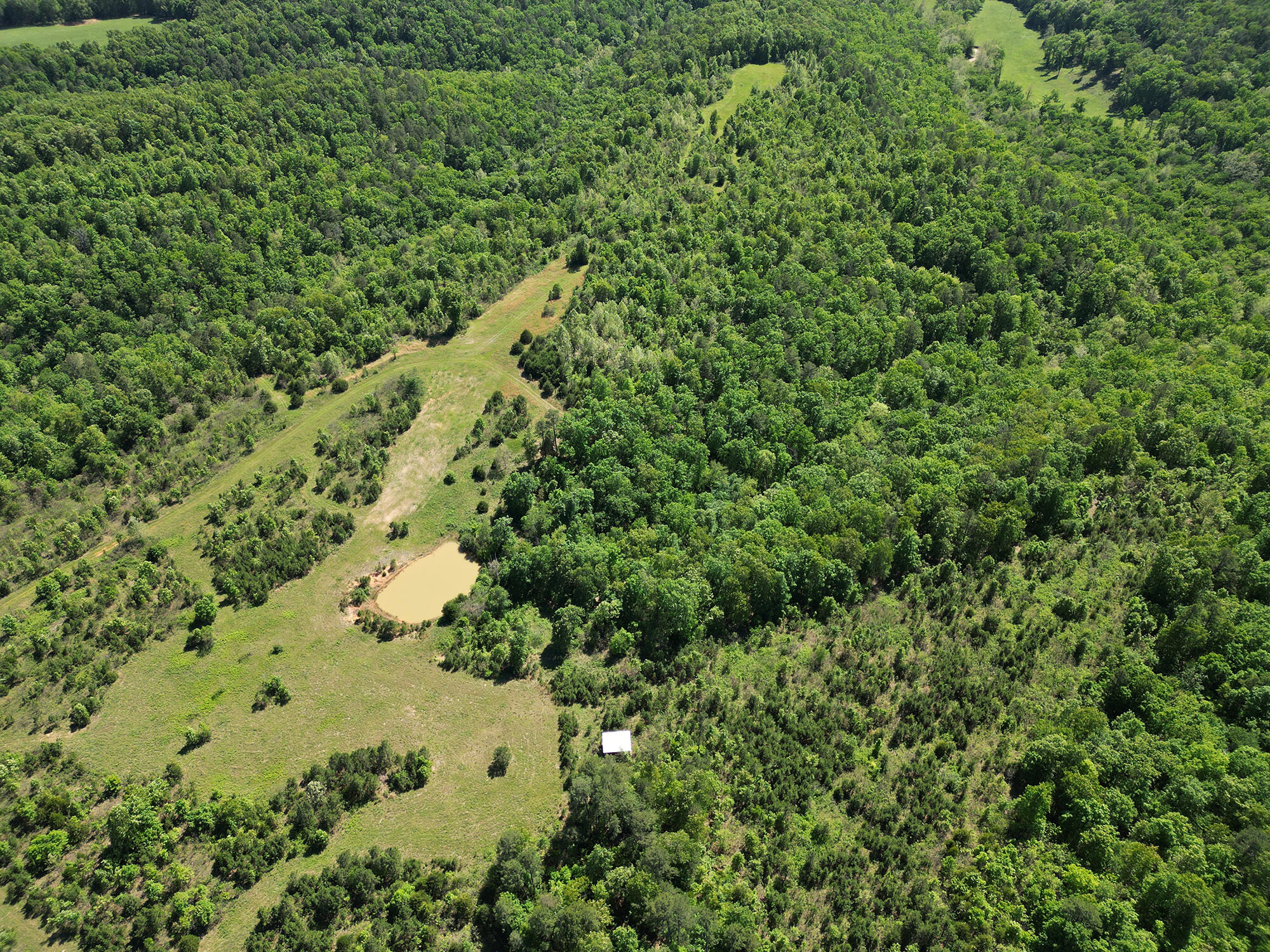 000 Off County Road 171 Property Photo 13