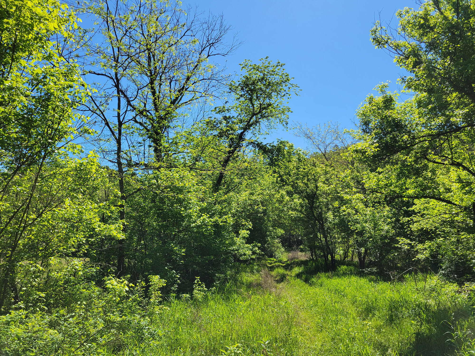 000 Off County Road 171 Property Photo 14
