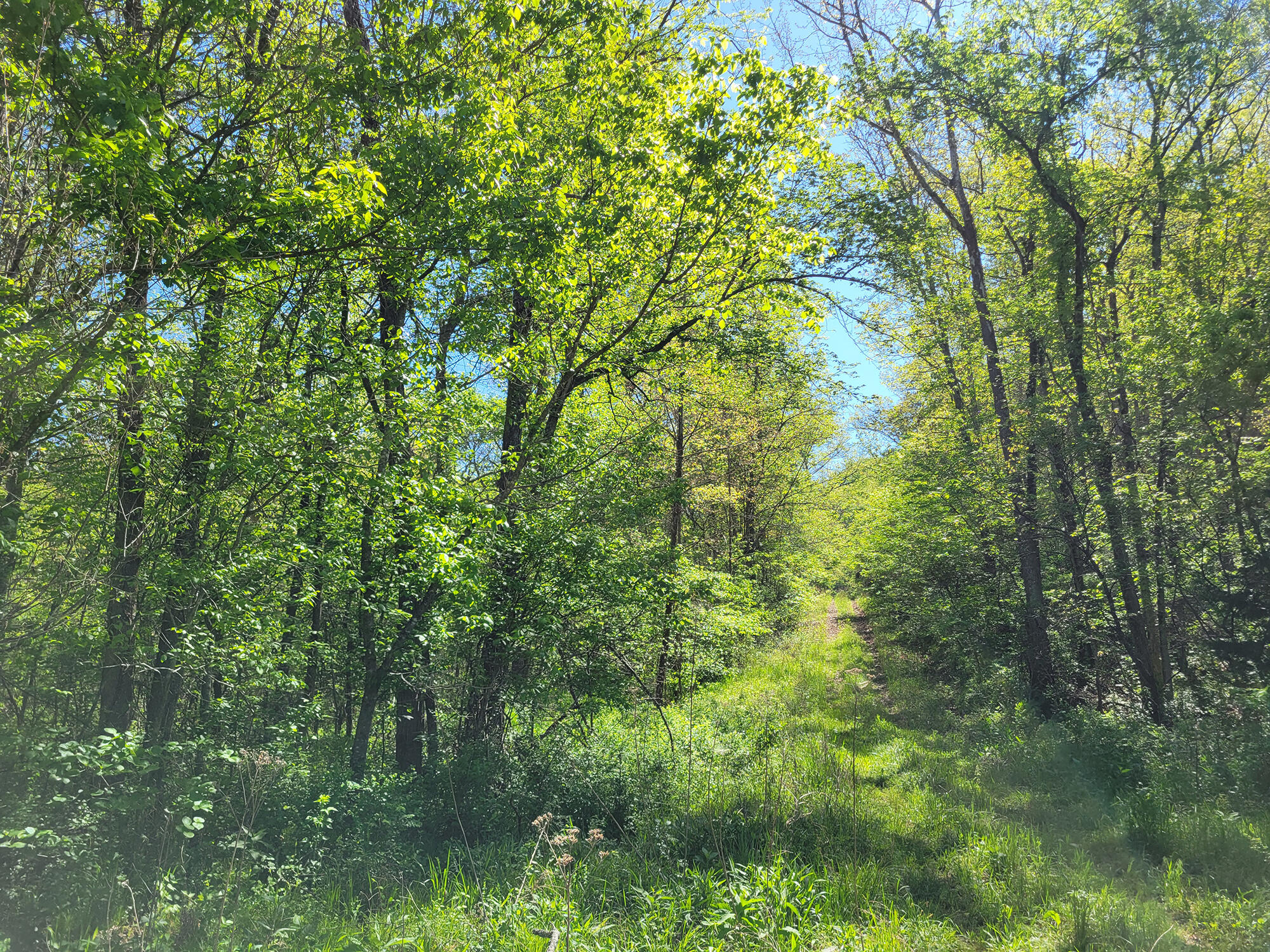 000 Off County Road 171 Property Photo 15