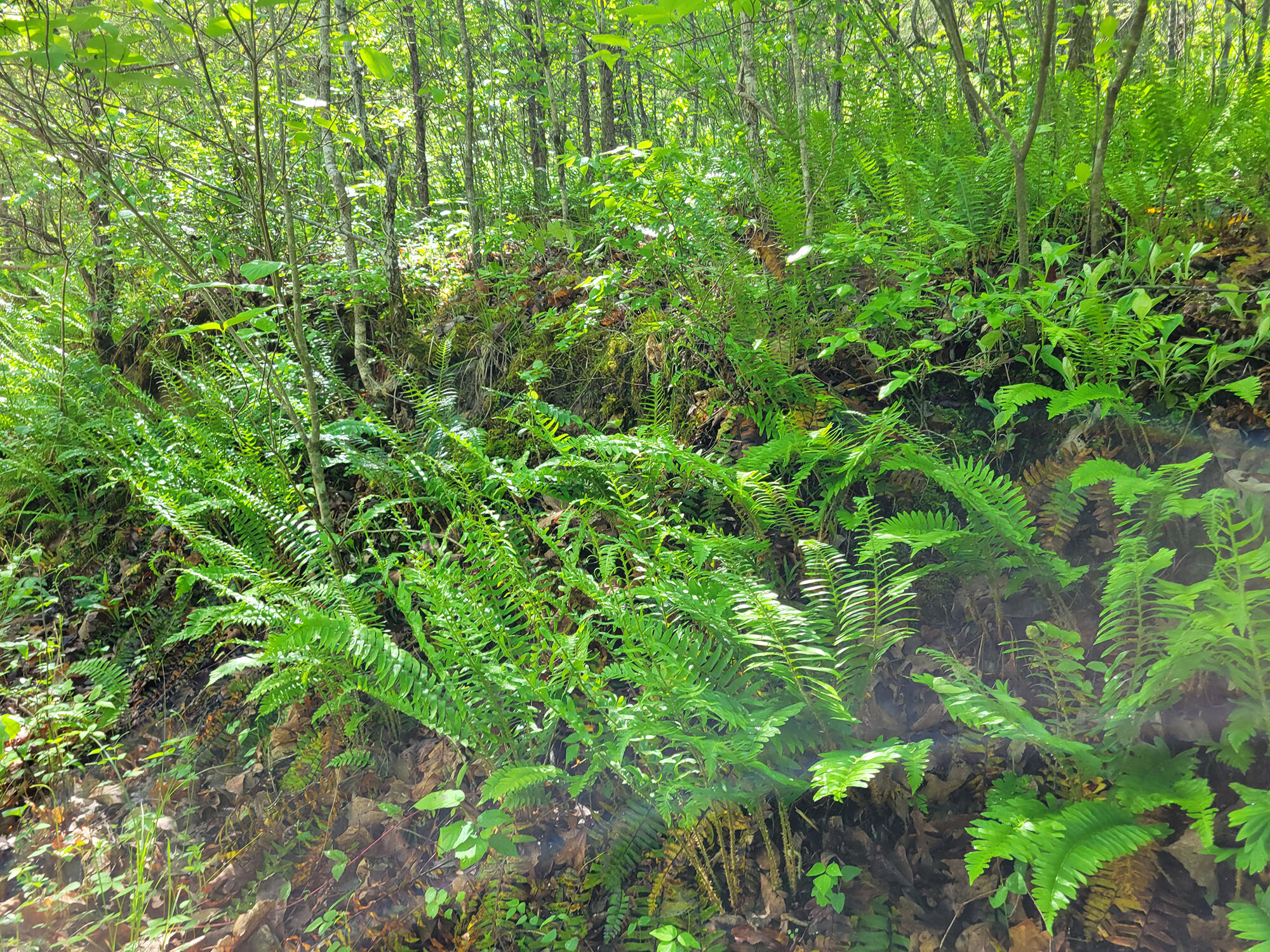 000 Off County Road 171 Property Photo 17