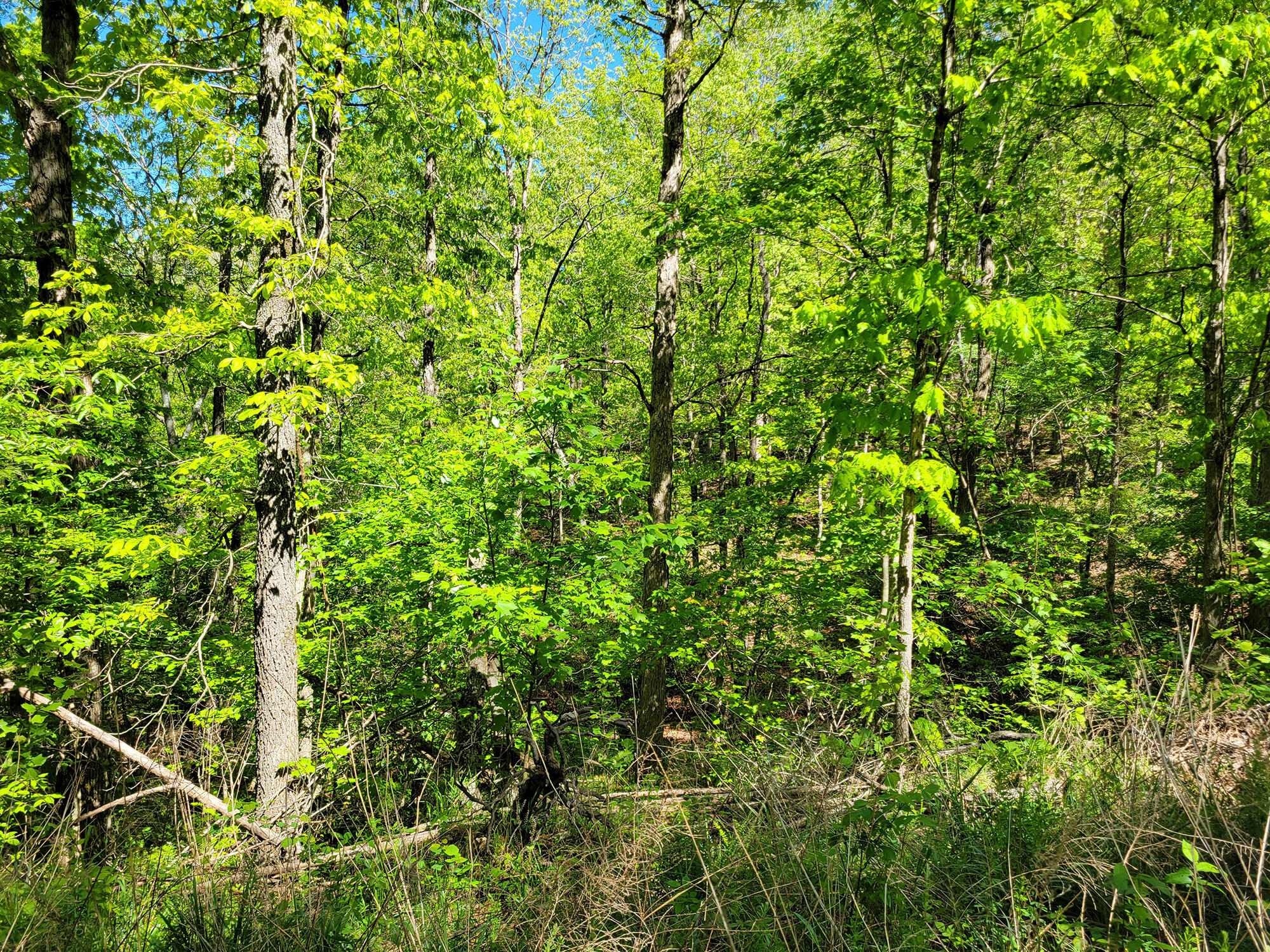 000 Off County Road 171 Property Photo 20