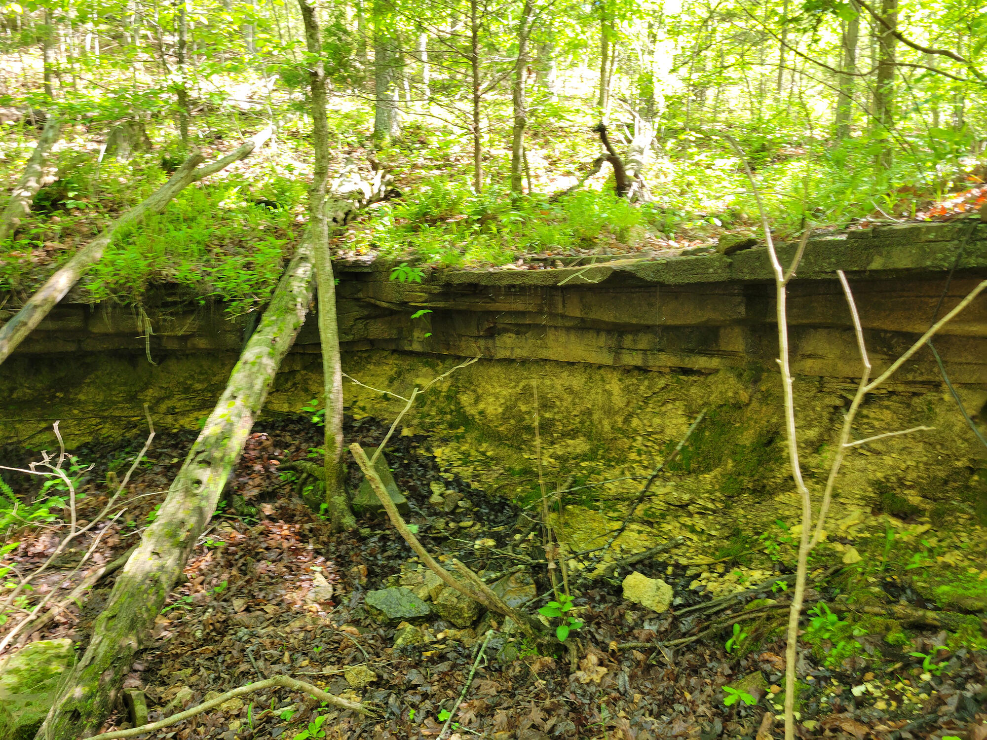 000 Off County Road 171 Property Photo 30