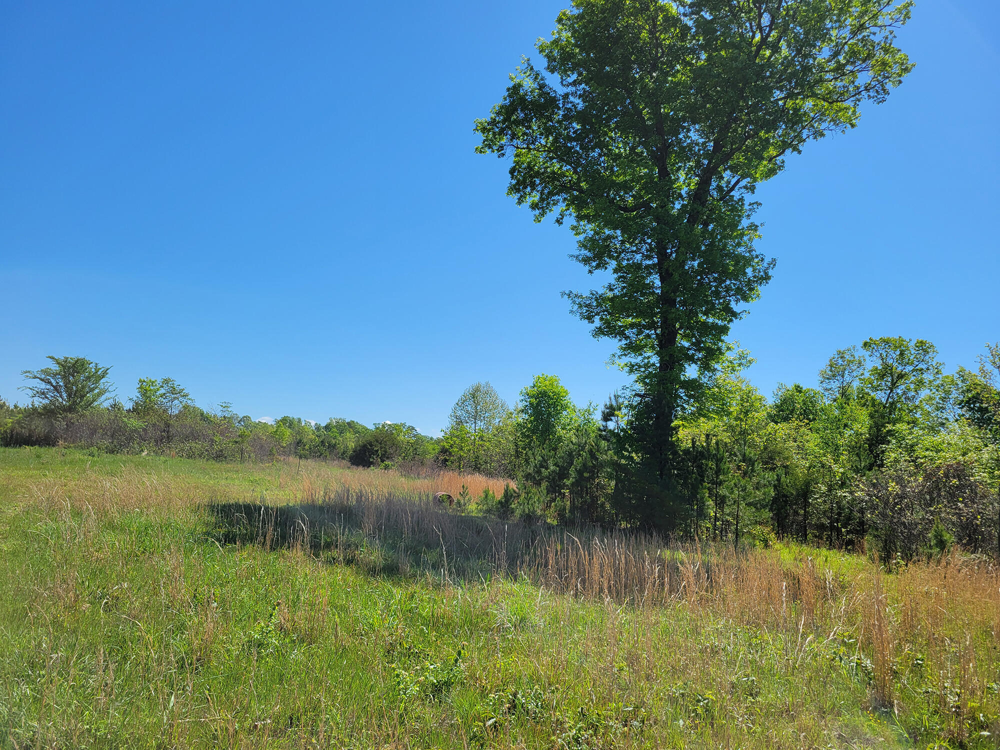 000 Off County Road 171 Property Photo 32