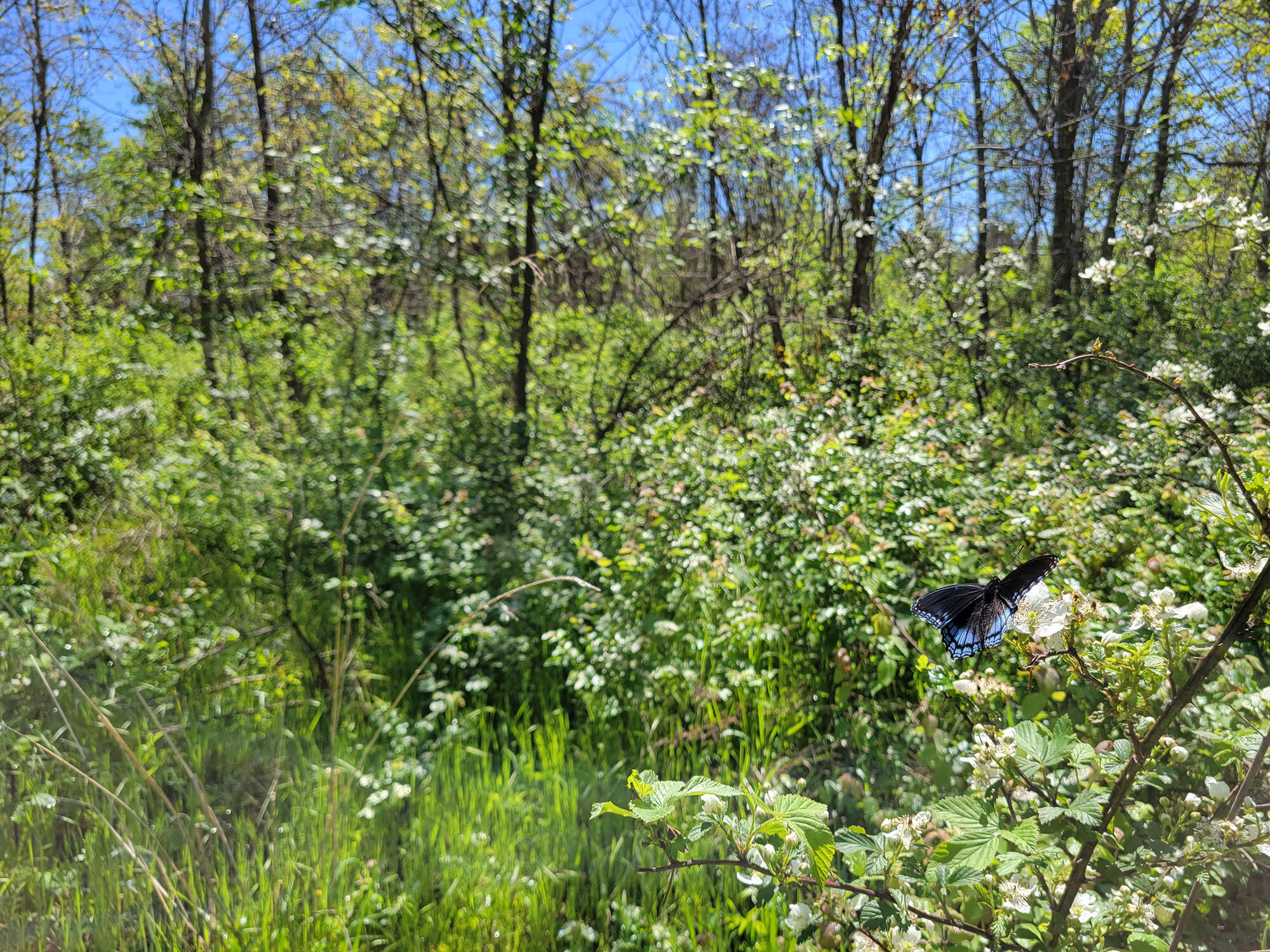 000 Off County Road 171 Property Photo 34