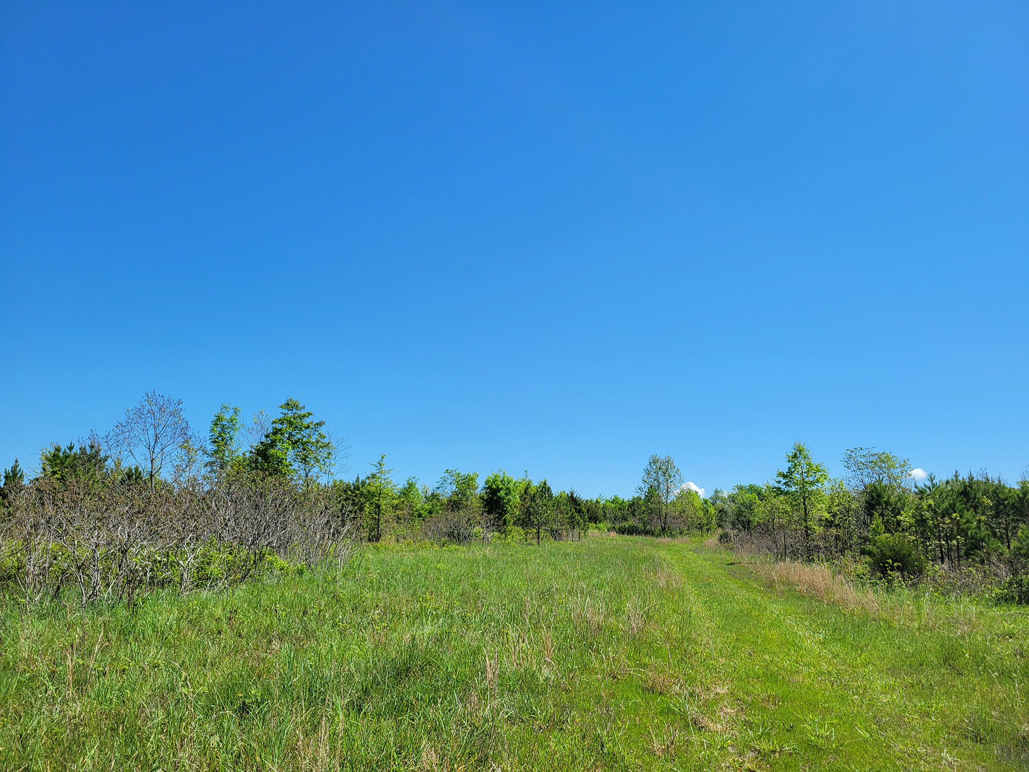 000 Off County Road 171 Property Photo 37