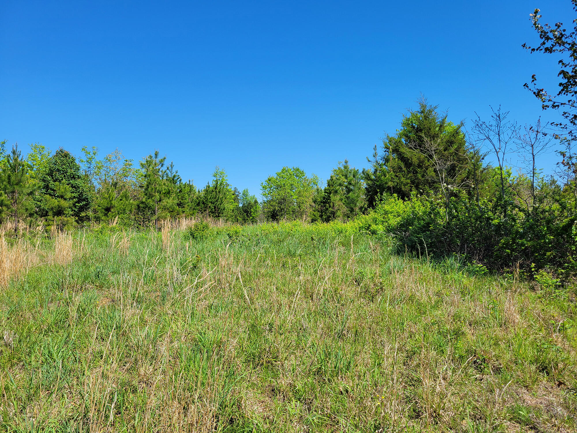 000 Off County Road 171 Property Photo 38