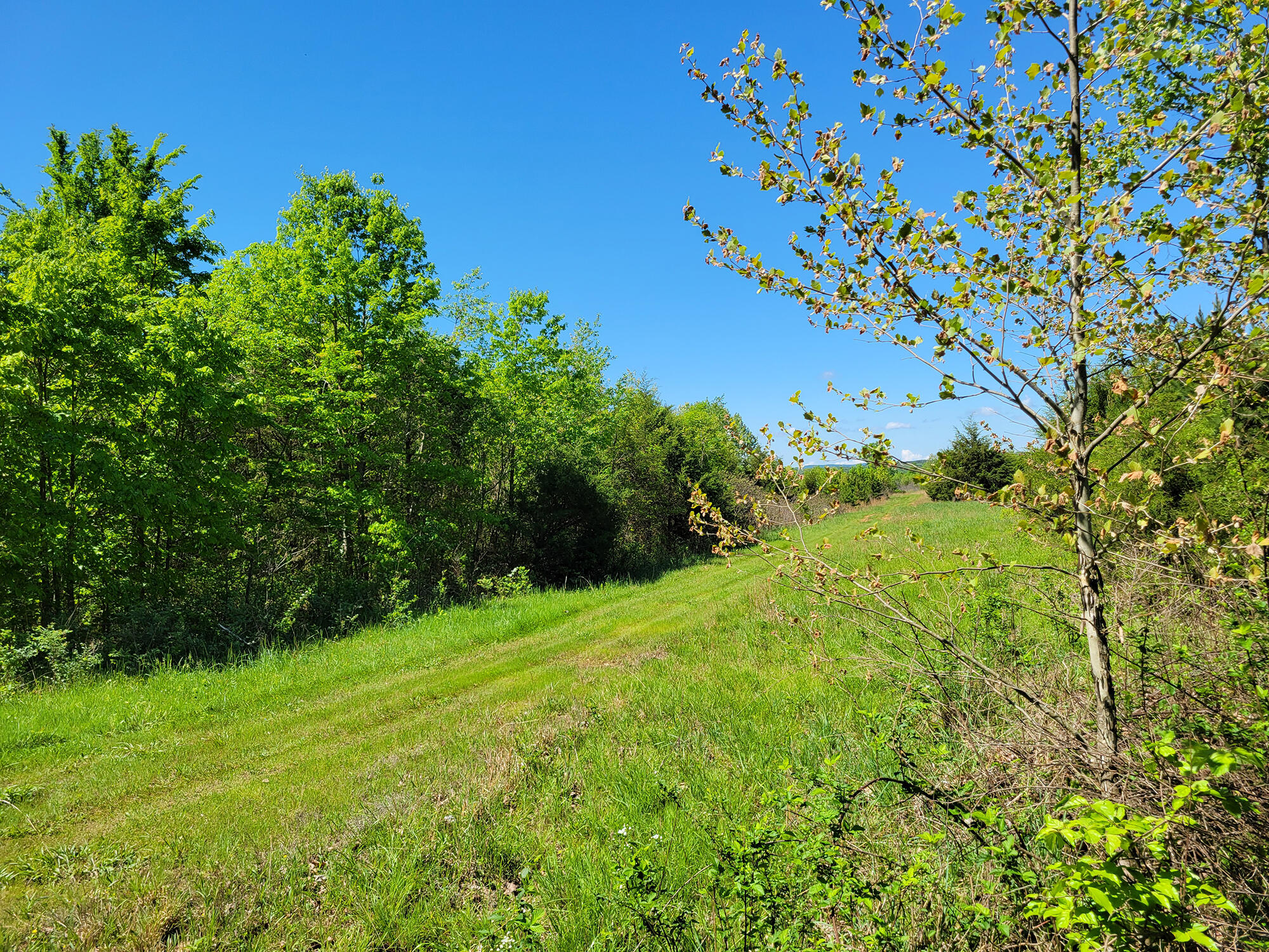 000 Off County Road 171 Property Photo 39