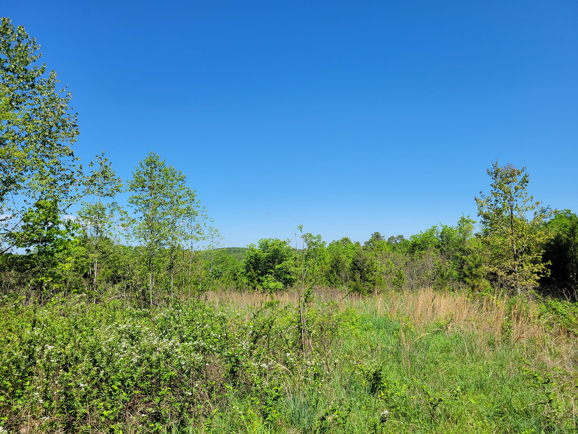 000 Off County Road 171 Property Photo 40