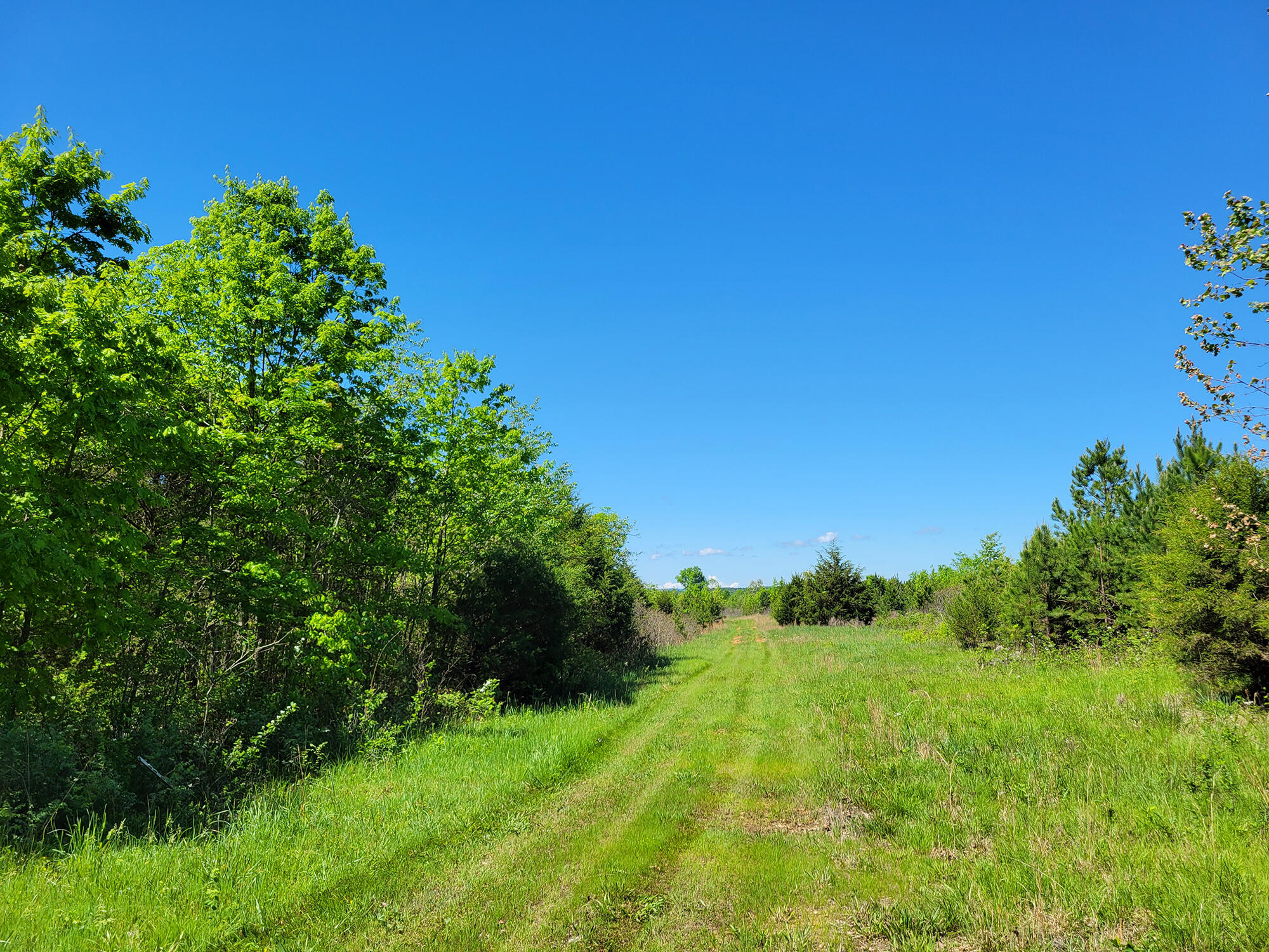 000 Off County Road 171 Property Photo 41