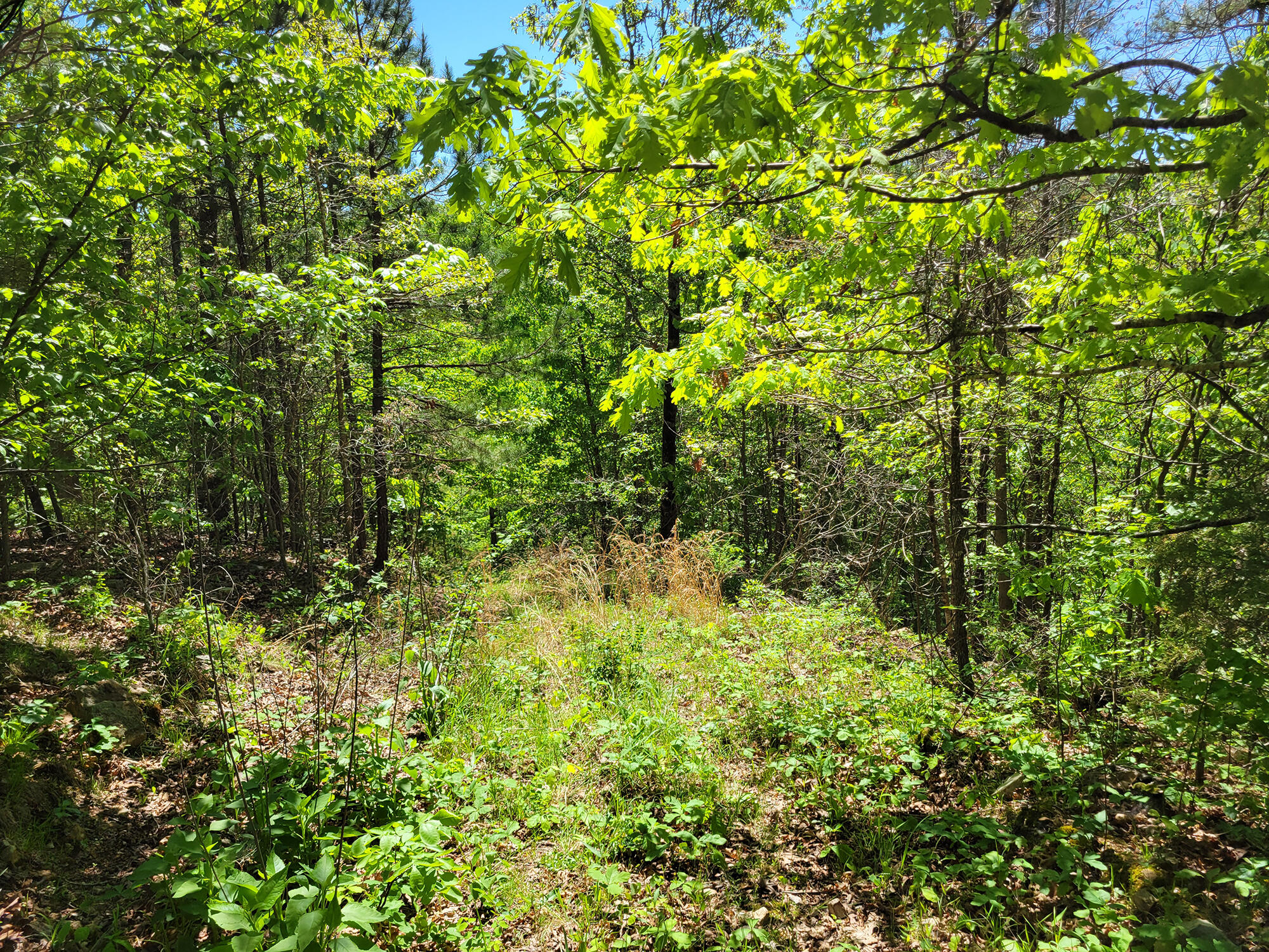 000 Off County Road 171 Property Photo 43