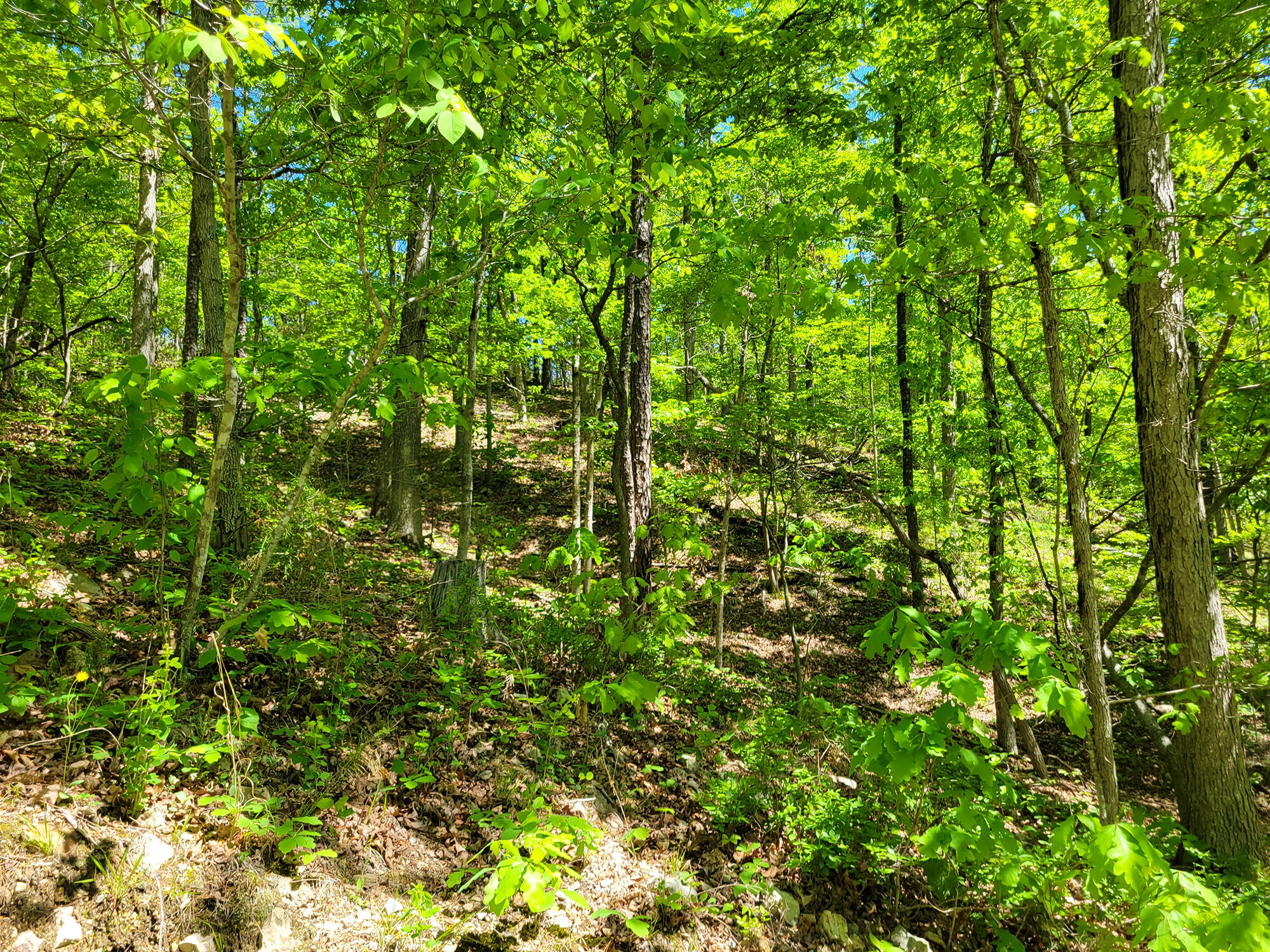 000 Off County Road 171 Property Photo 44