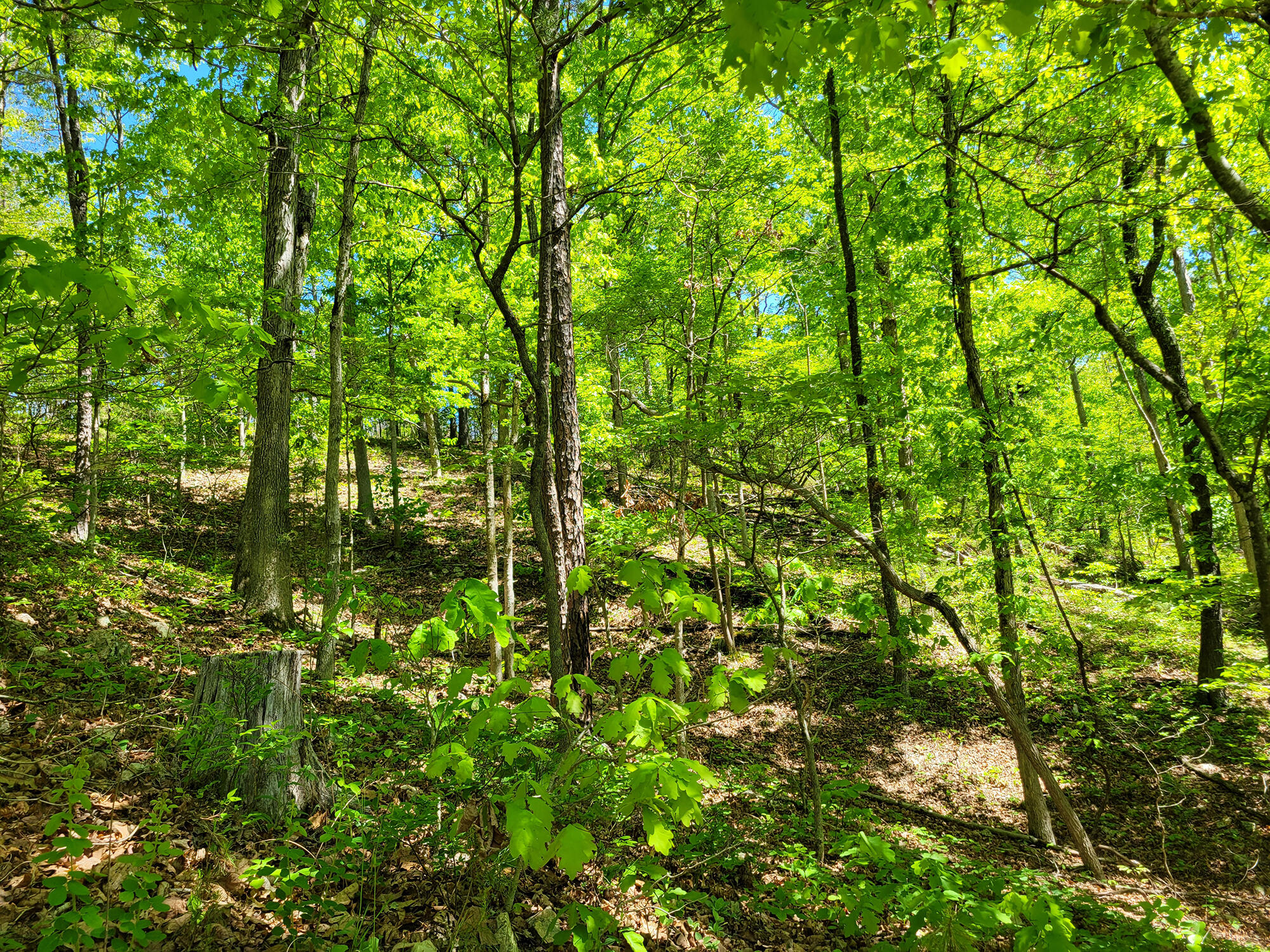 000 Off County Road 171 Property Photo 45