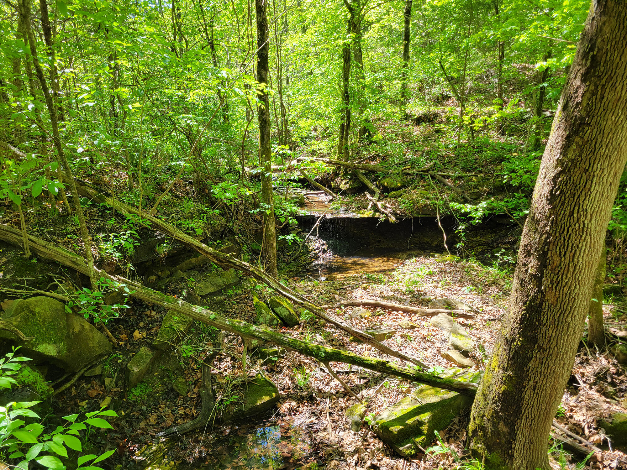 000 Off County Road 171 Property Photo 46