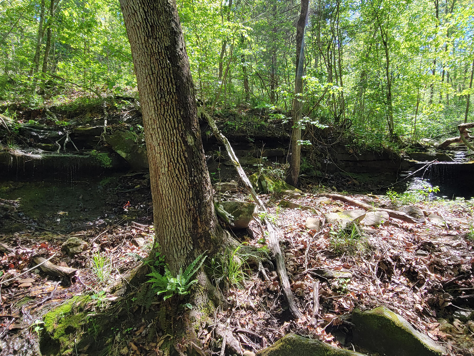 000 Off County Road 171 Property Photo 47