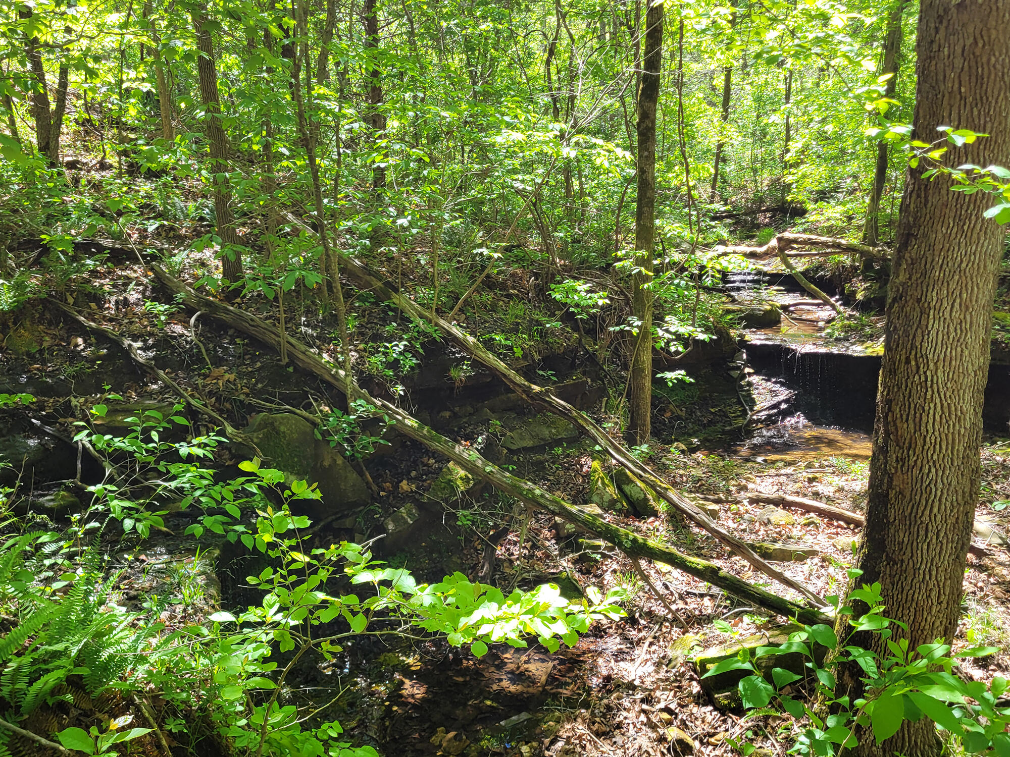 000 Off County Road 171 Property Photo 51