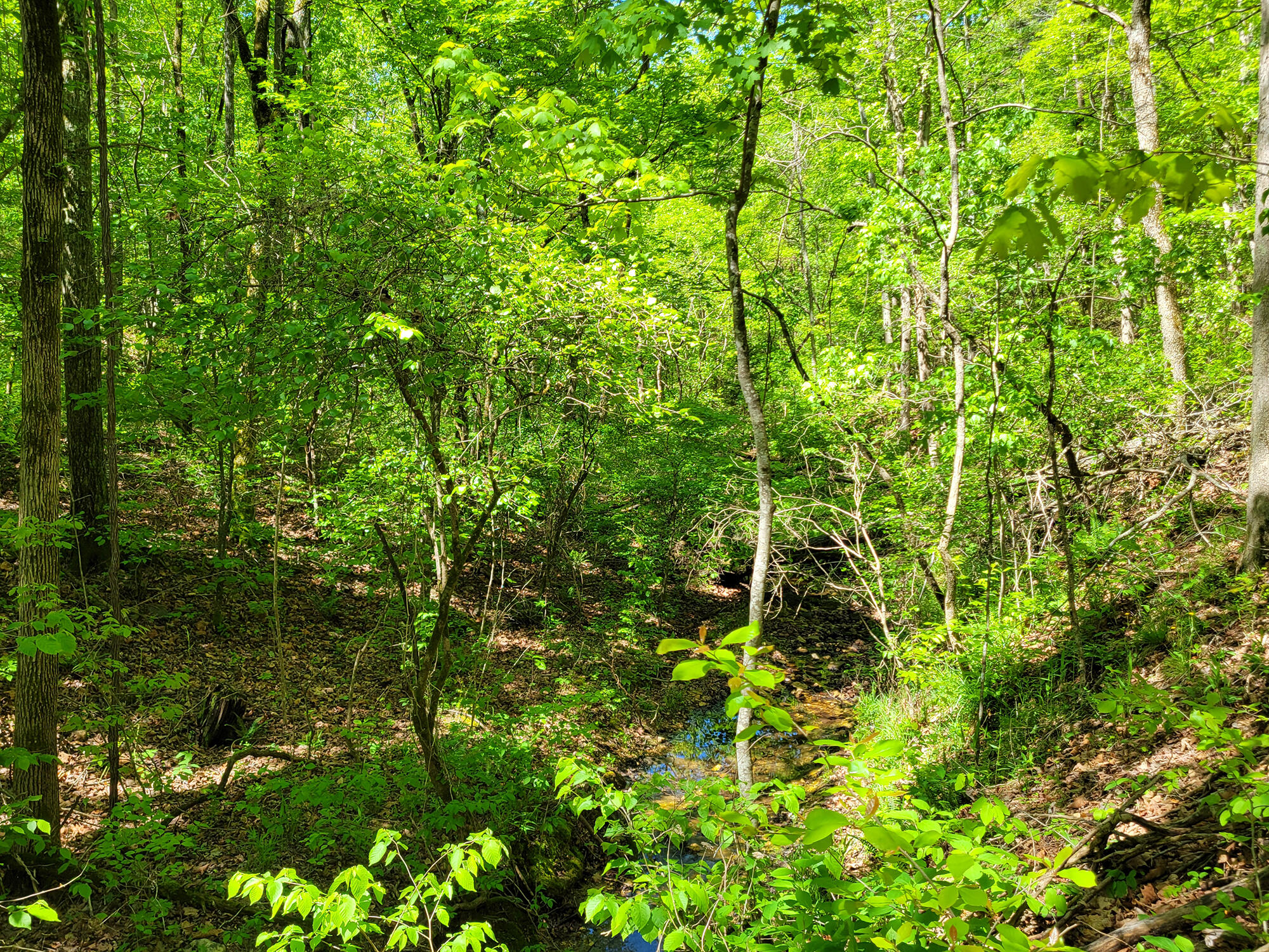 000 Off County Road 171 Property Photo 52