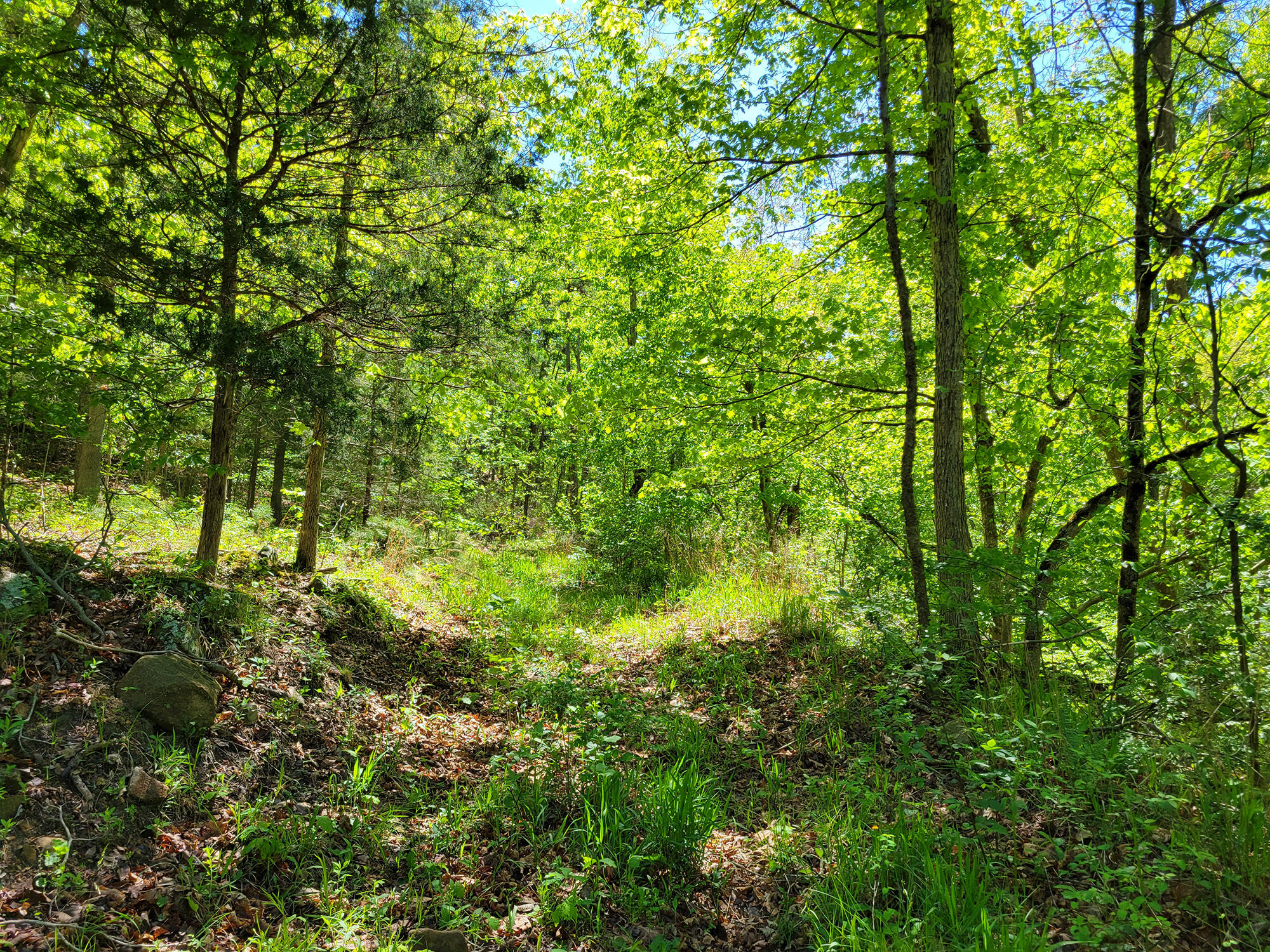 000 Off County Road 171 Property Photo 56