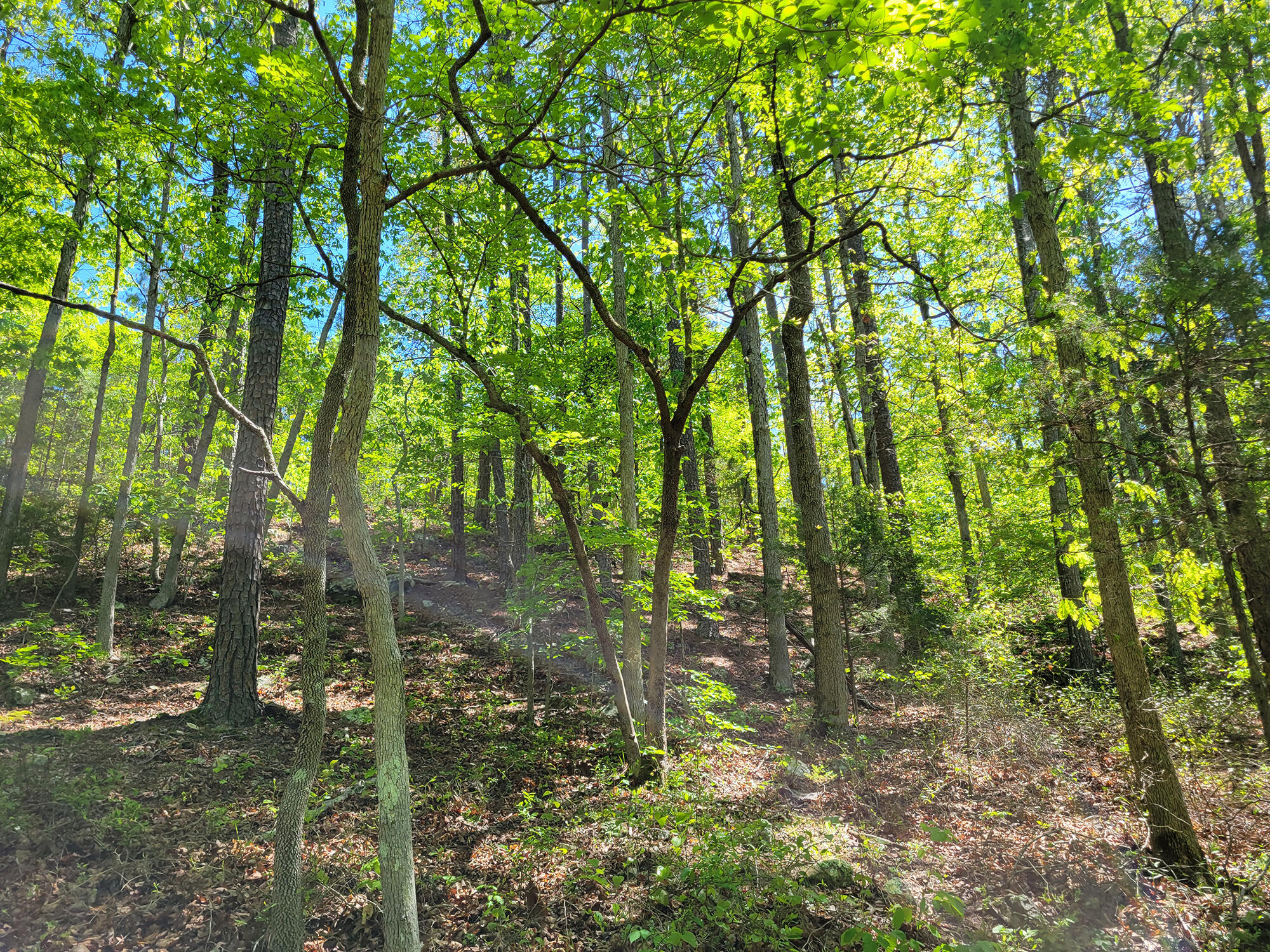 000 Off County Road 171 Property Photo 57
