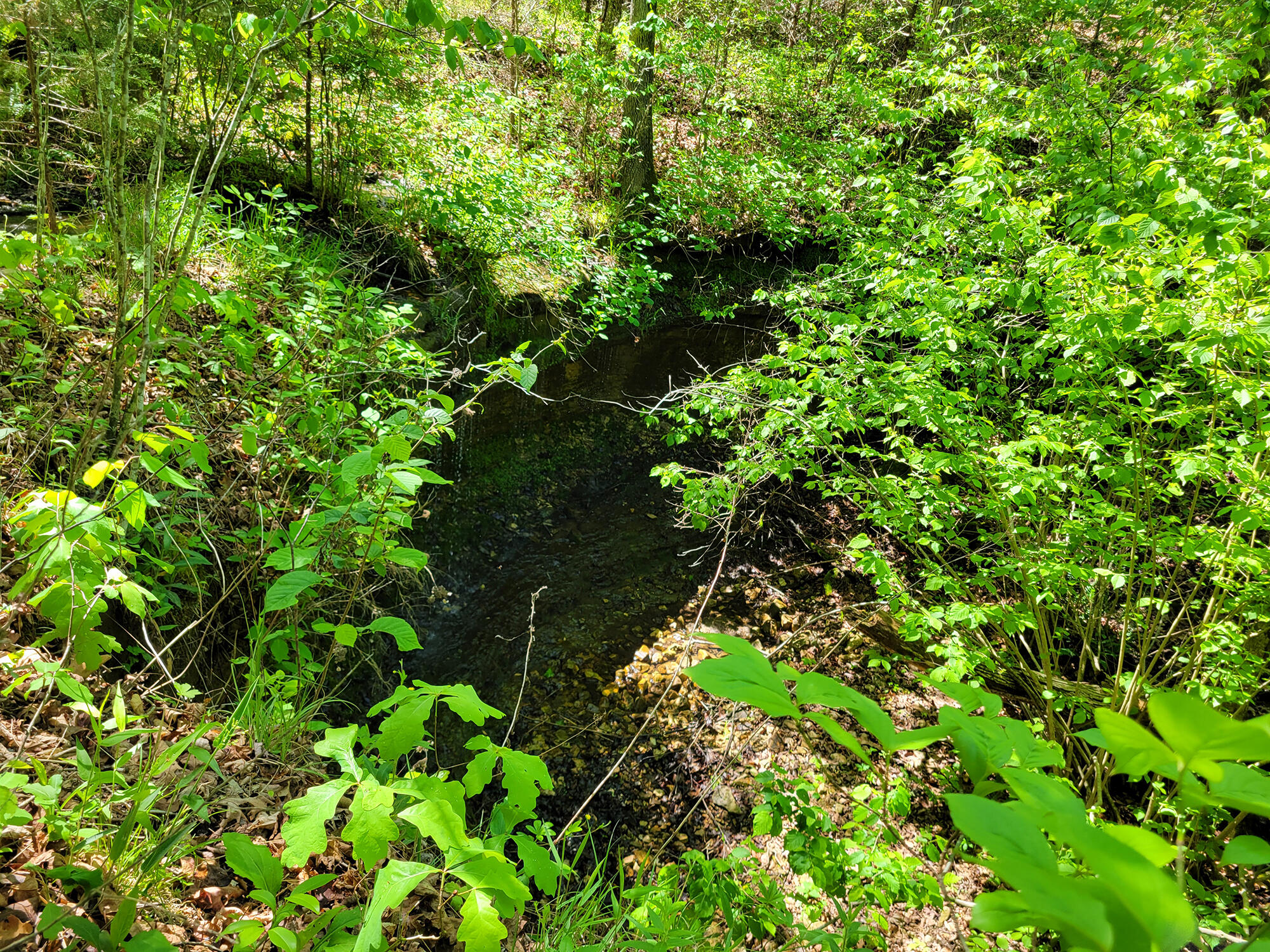 000 Off County Road 171 Property Photo 58