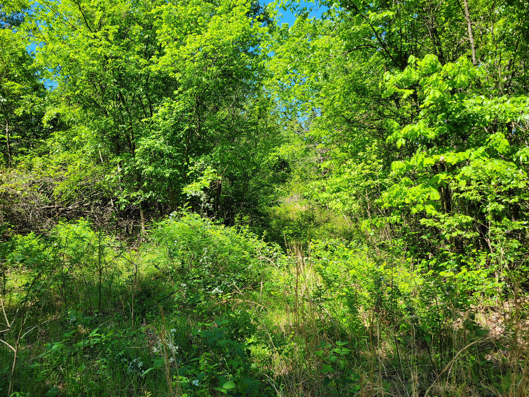 000 Off County Road 171 Property Photo 62