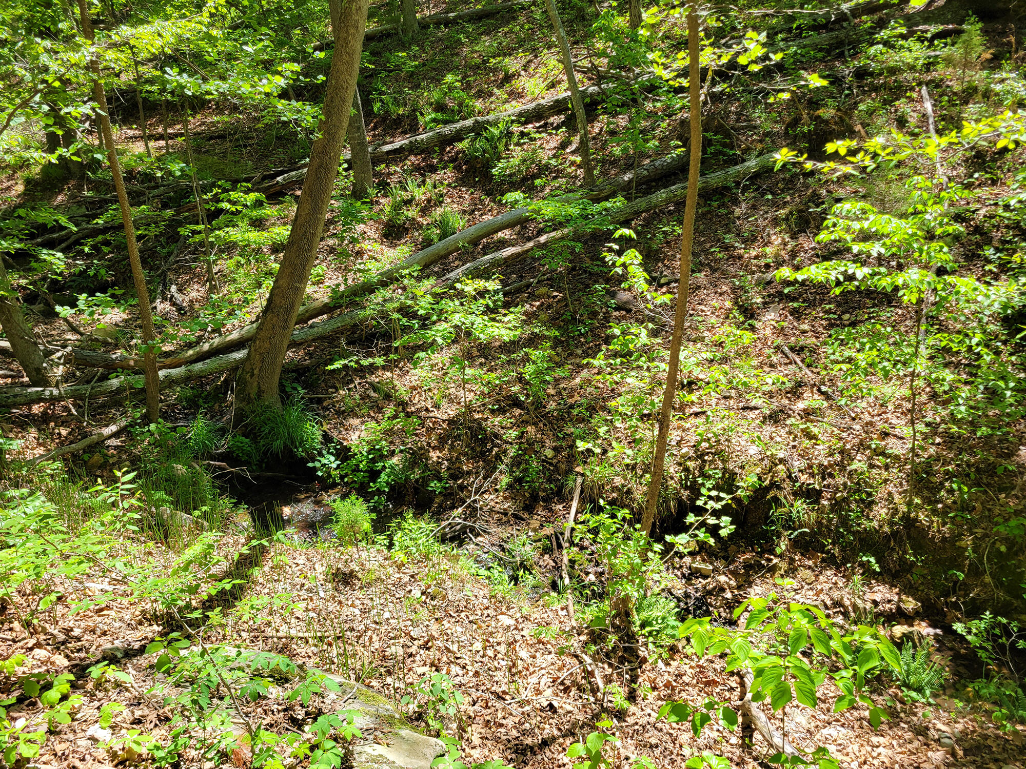 000 Off County Road 171 Property Photo 63