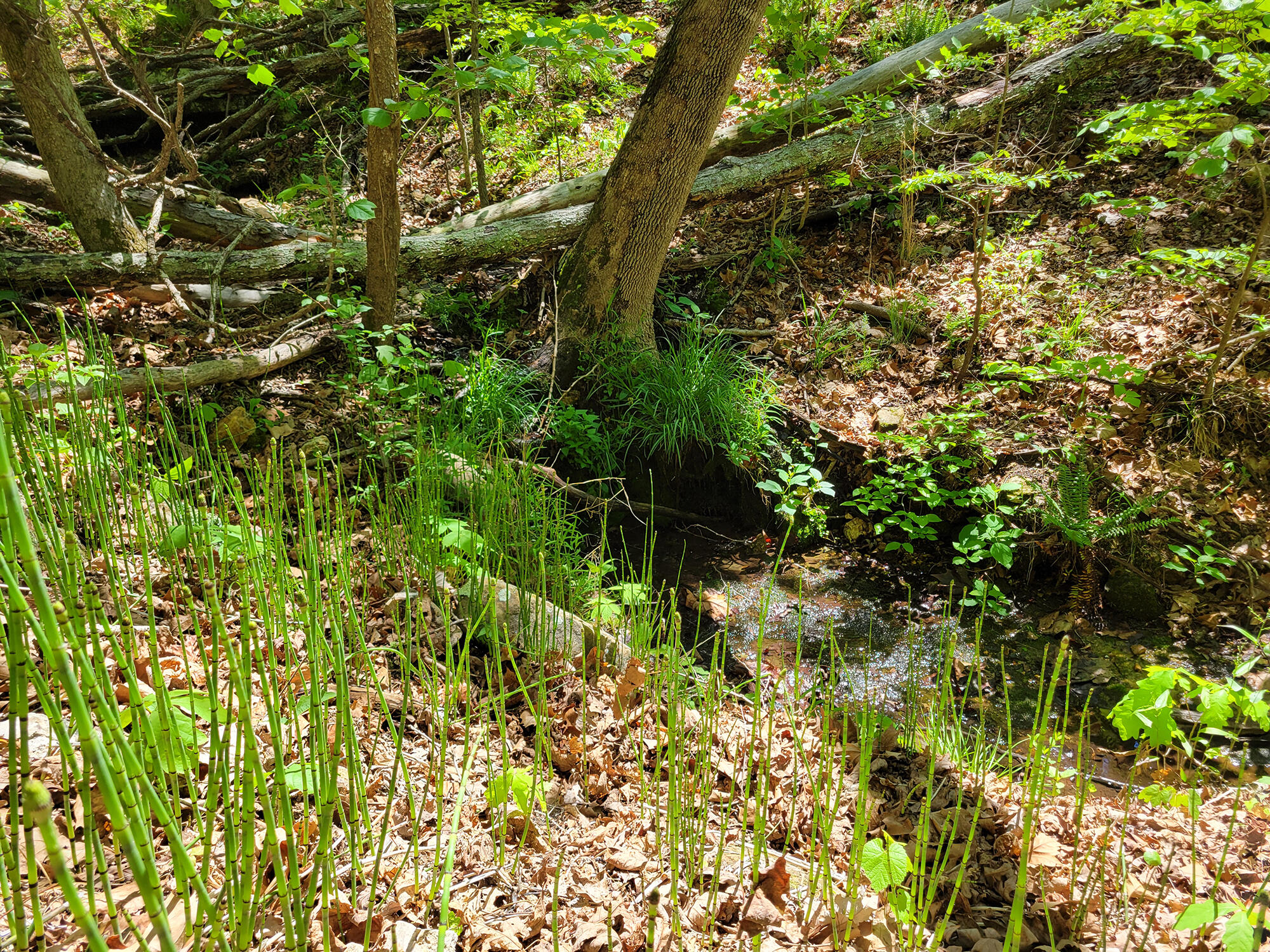 000 Off County Road 171 Property Photo 64