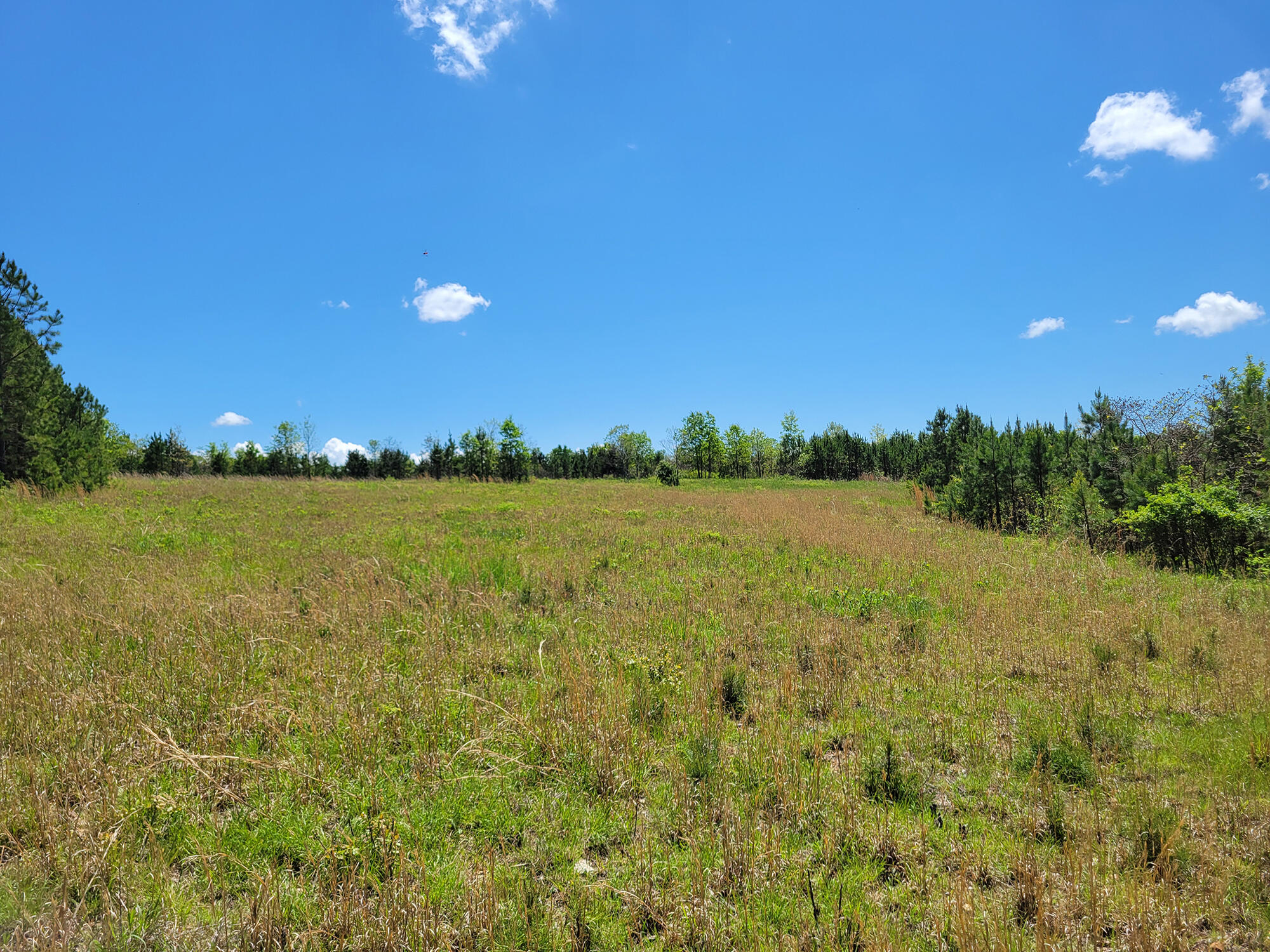 000 Off County Road 171 Property Photo 66