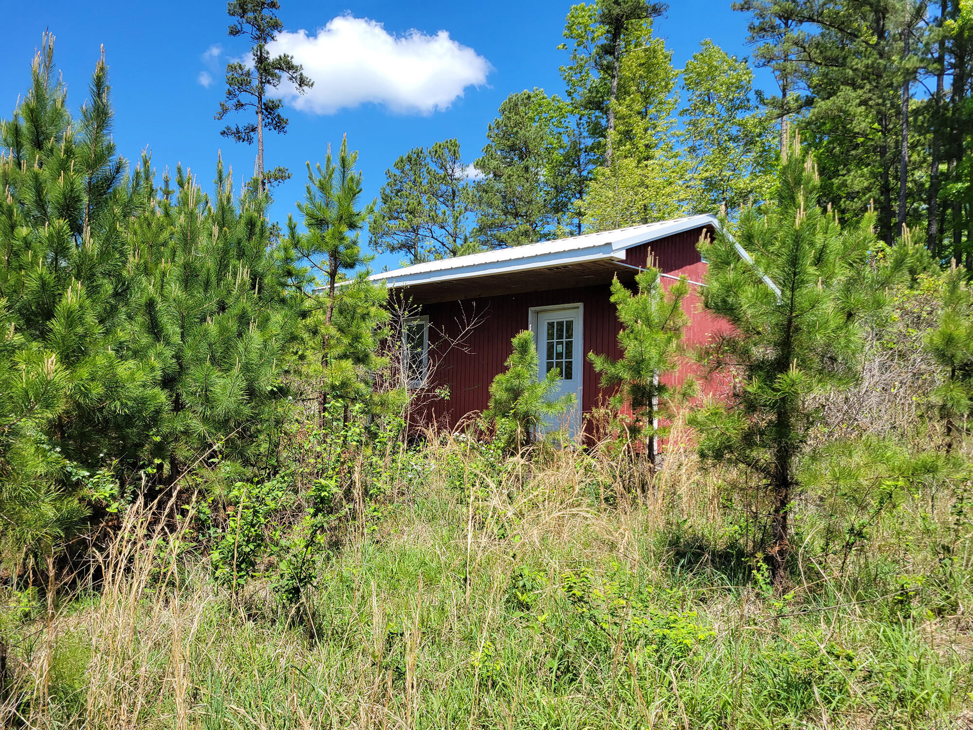 000 Off County Road 171 Property Photo 67