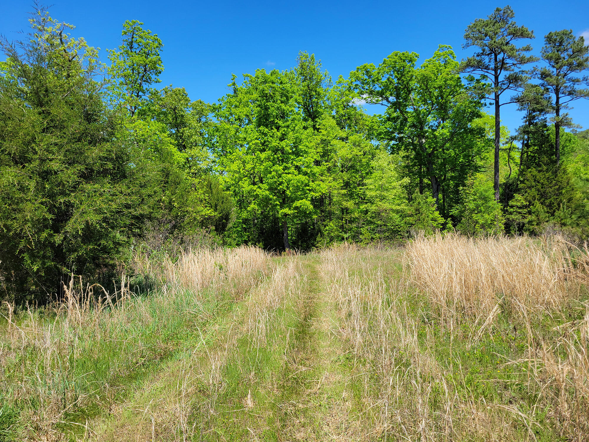 000 Off County Road 171 Property Photo 69