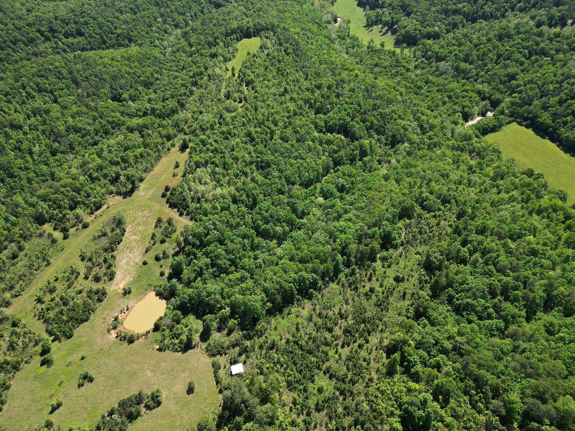 000 Off County Road 171 Property Photo 70